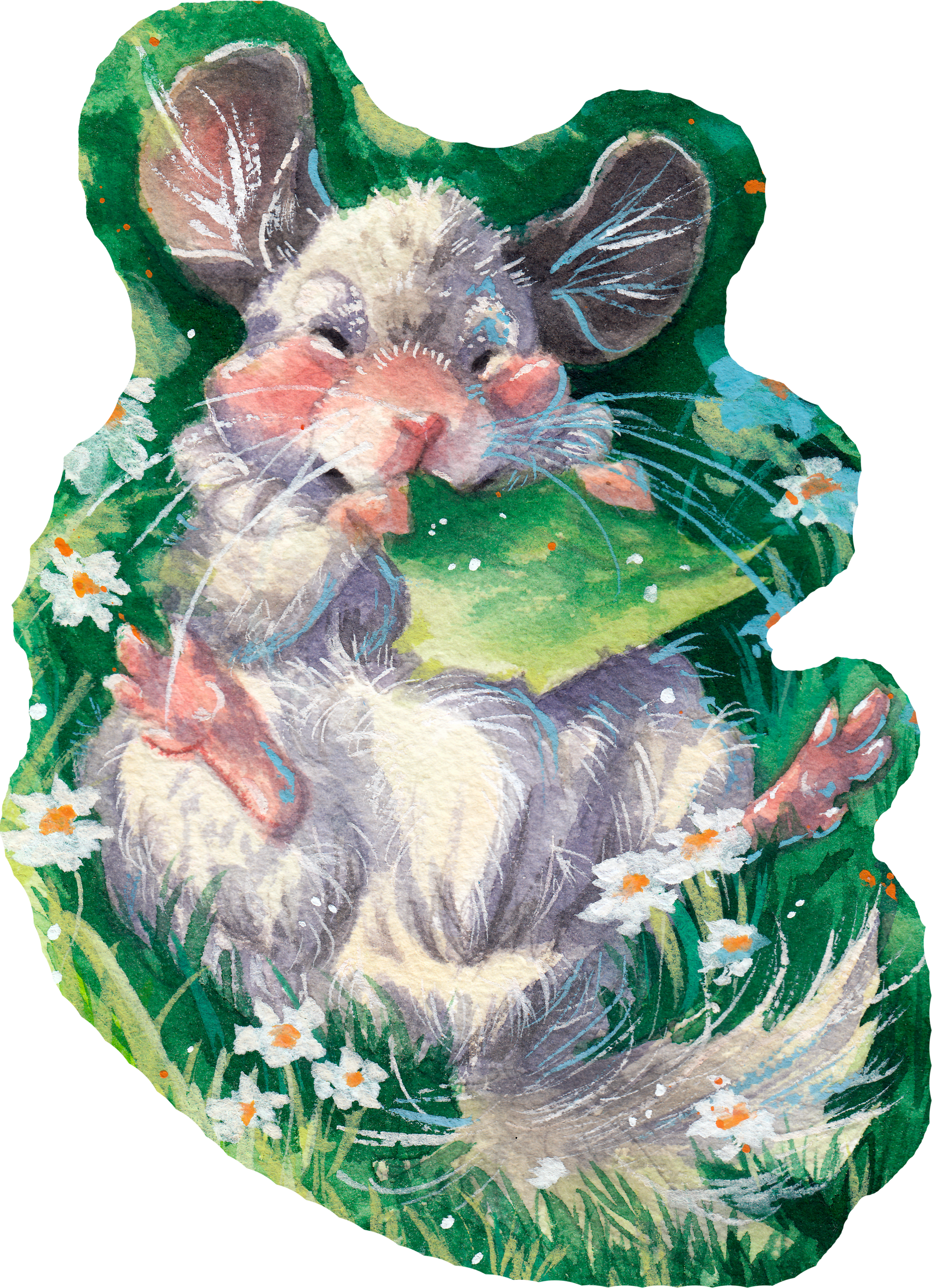 Cute chinchilla eating leaf in flowers.
