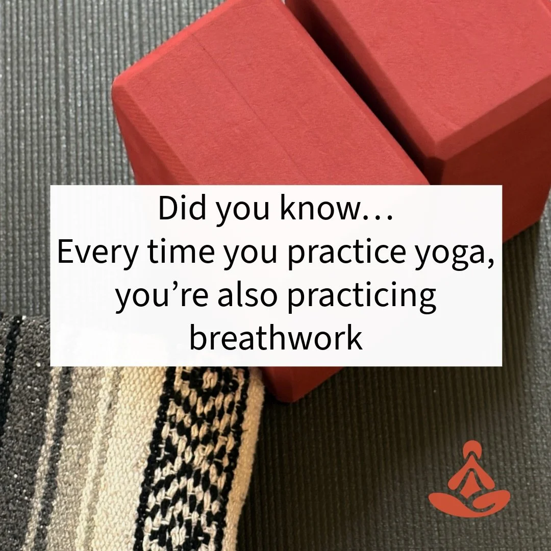 Soft breath.
Steady movement.
Sustainable practice ✨
#FortWayneYoga #FortWayneWellness #DowntownfortWayne #IndianaYoga #FortWayne