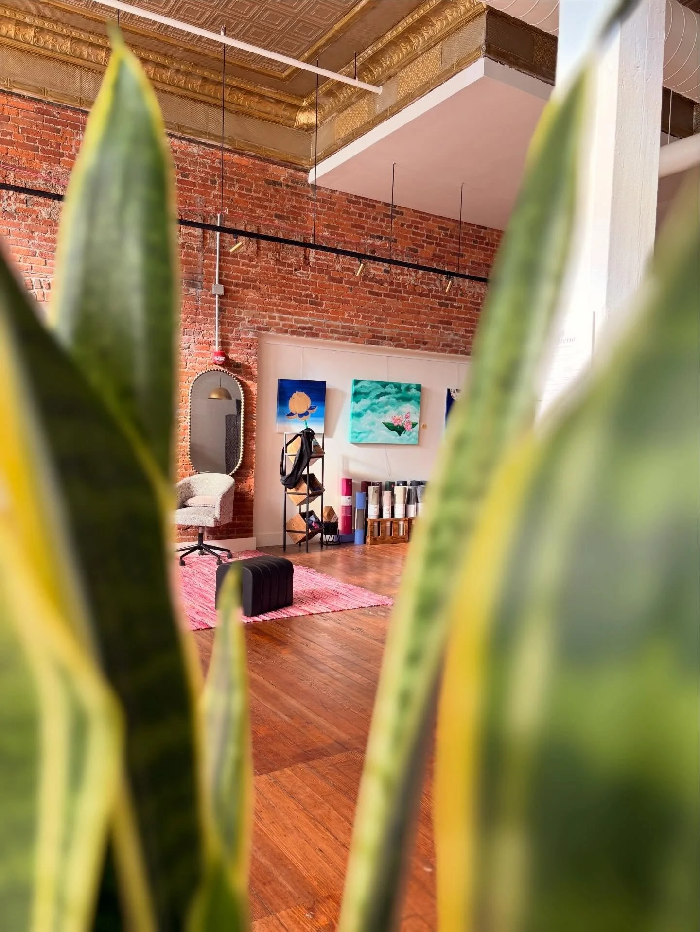 it&rsquo;s giving soft light
quiet moments
and a space that lets you exhale

#estheticallypleasing #fortwayne #downtownfortwayne
