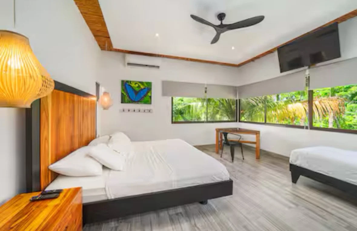 Modern hotel room with large bed, nightstand, wall art, ceiling fan, flat-screen TV, and windows showing greenery outside.