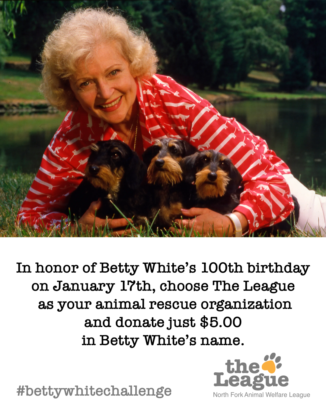 In Betty's name we rise — The League 🐾 North Fork Animal Welfare League