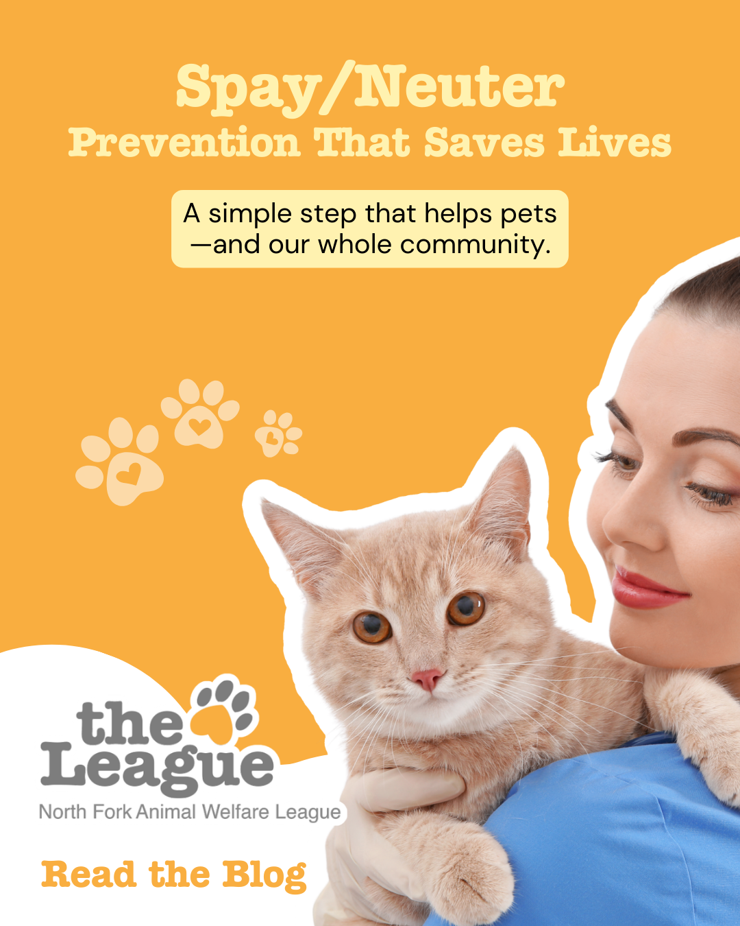 Why Spaying and Neutering Matters for Our Community and the Pets We Love