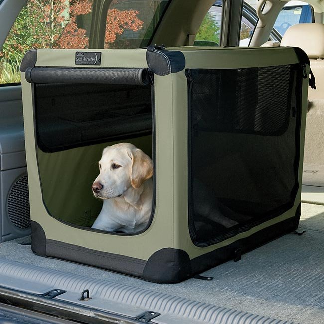Picture Idea: How To Be Prepared To Protect Our Pets During An