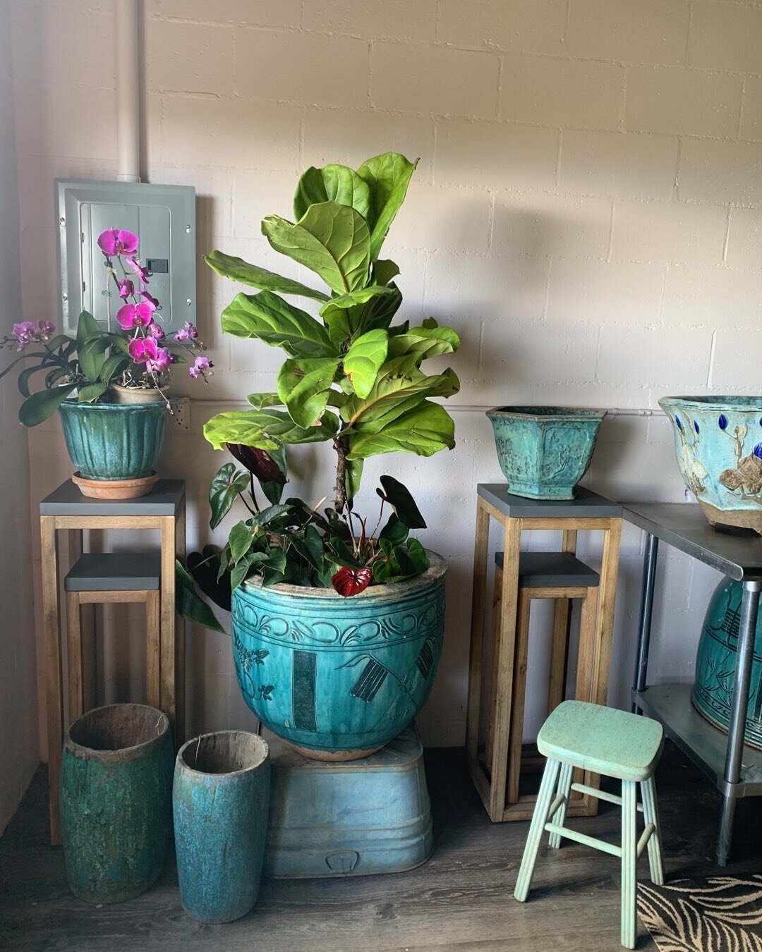 Aloha Monday so grateful for talented Friend Shari Mendelson revamping my design studio , creating a fun , happy , inspiring work area. More beautiful florals on their way. # Mauifloraldesigner #mauiweddingsandevents#Lanaifloraldesigner#welcome back 
