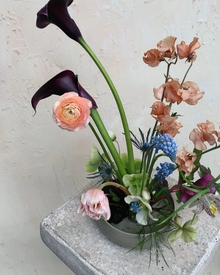 Tiny dancer 🥀🪩

______

For @rosehipfloral 

#nycflorist #brooklynflorist #colorpaletteideas #weddingcolorpalette #dutchgoldenage #dutchgoldenagepainting #dutchmastersinspired #dutchmastersflowers #ikebanainspired #ikebanavase #ruleofthirdsbk #rule