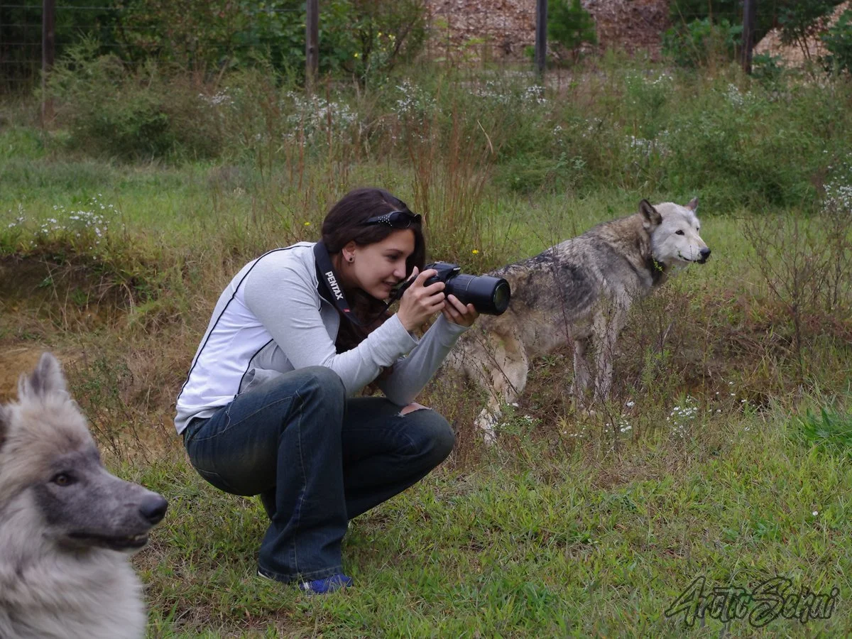 Wolf Gaze