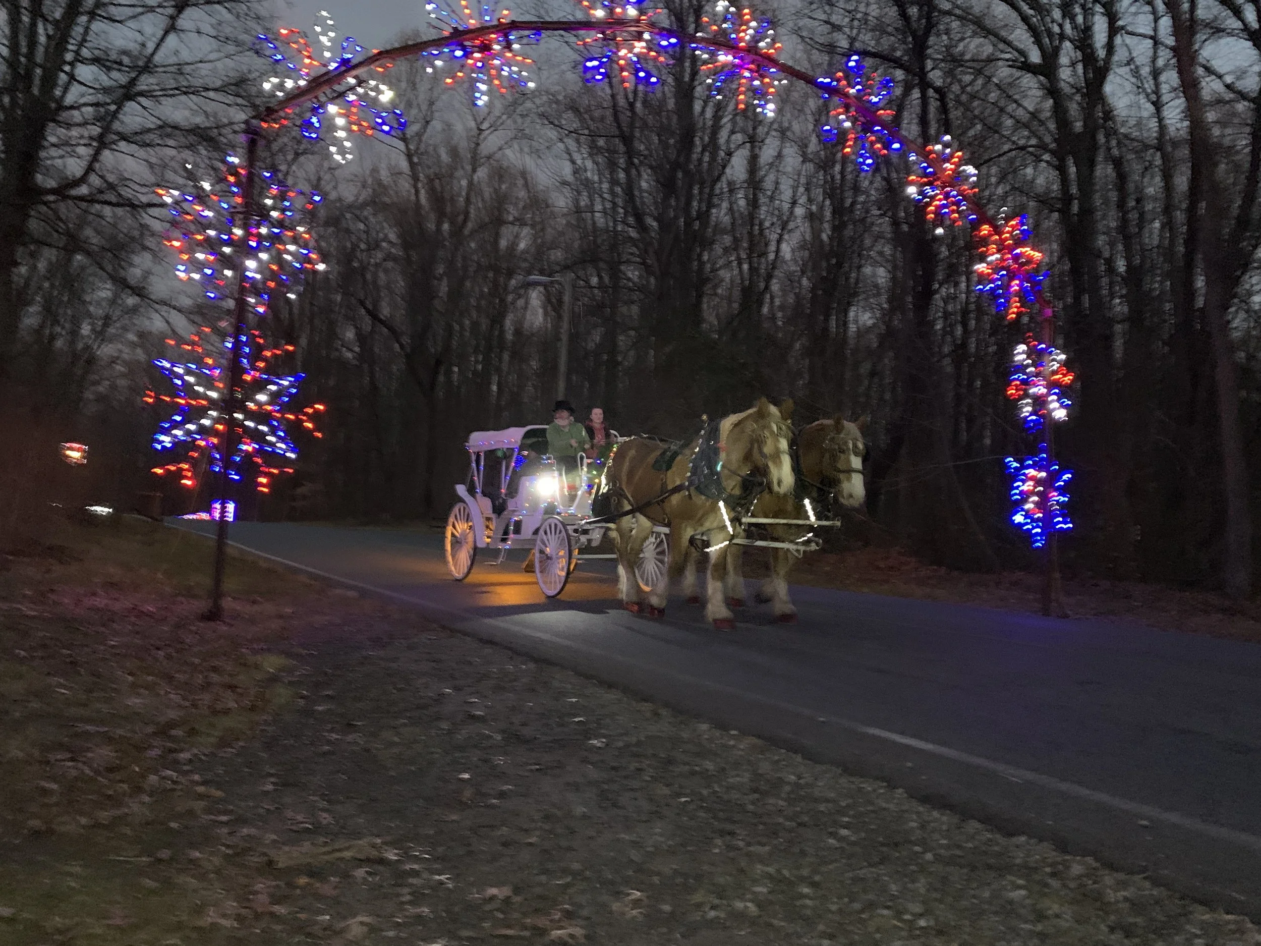 Watkins Regional Park Winter Festival of Lights — Brandywine Carriage Tours