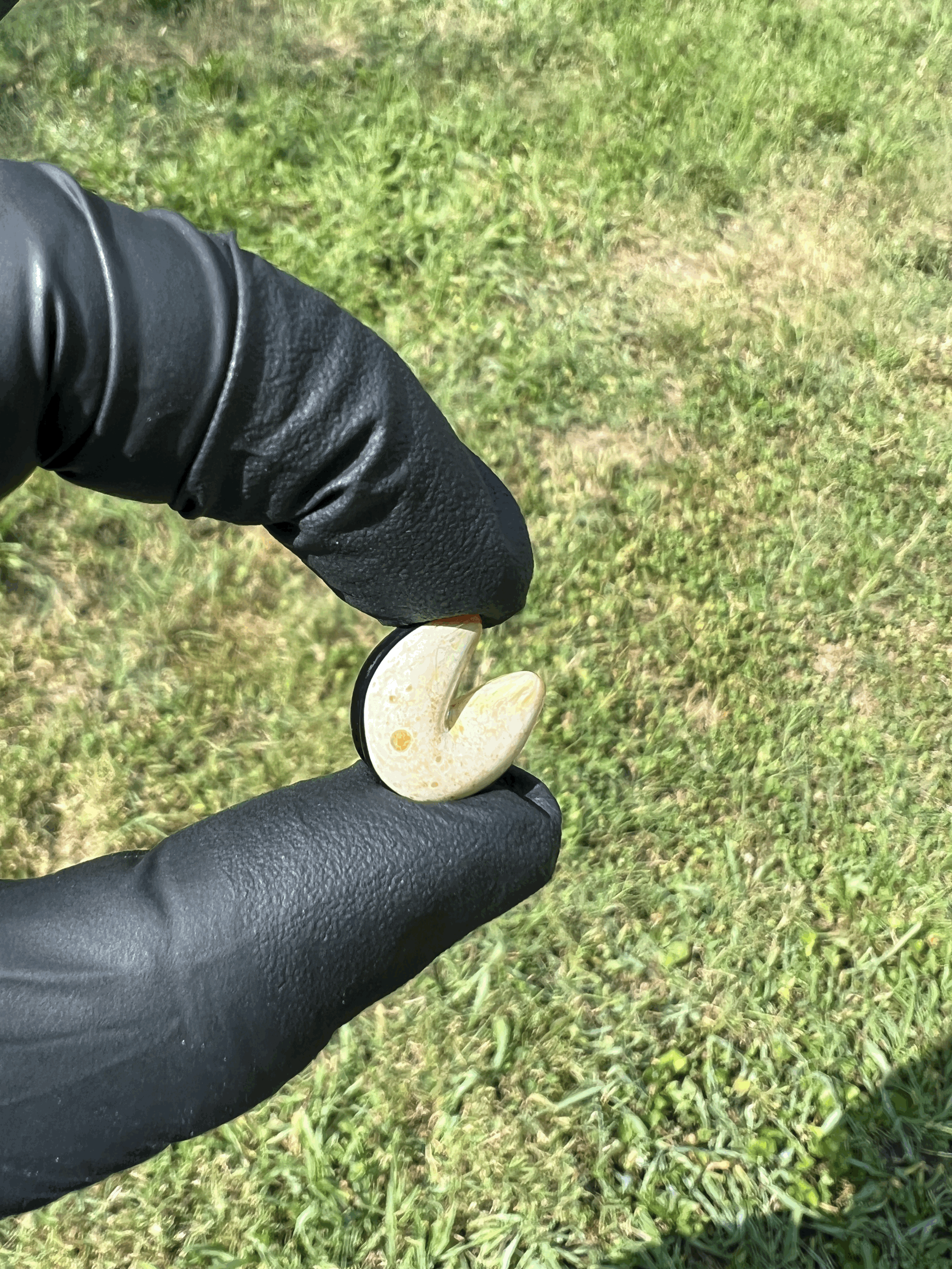 tempImageuL1uM0.gif