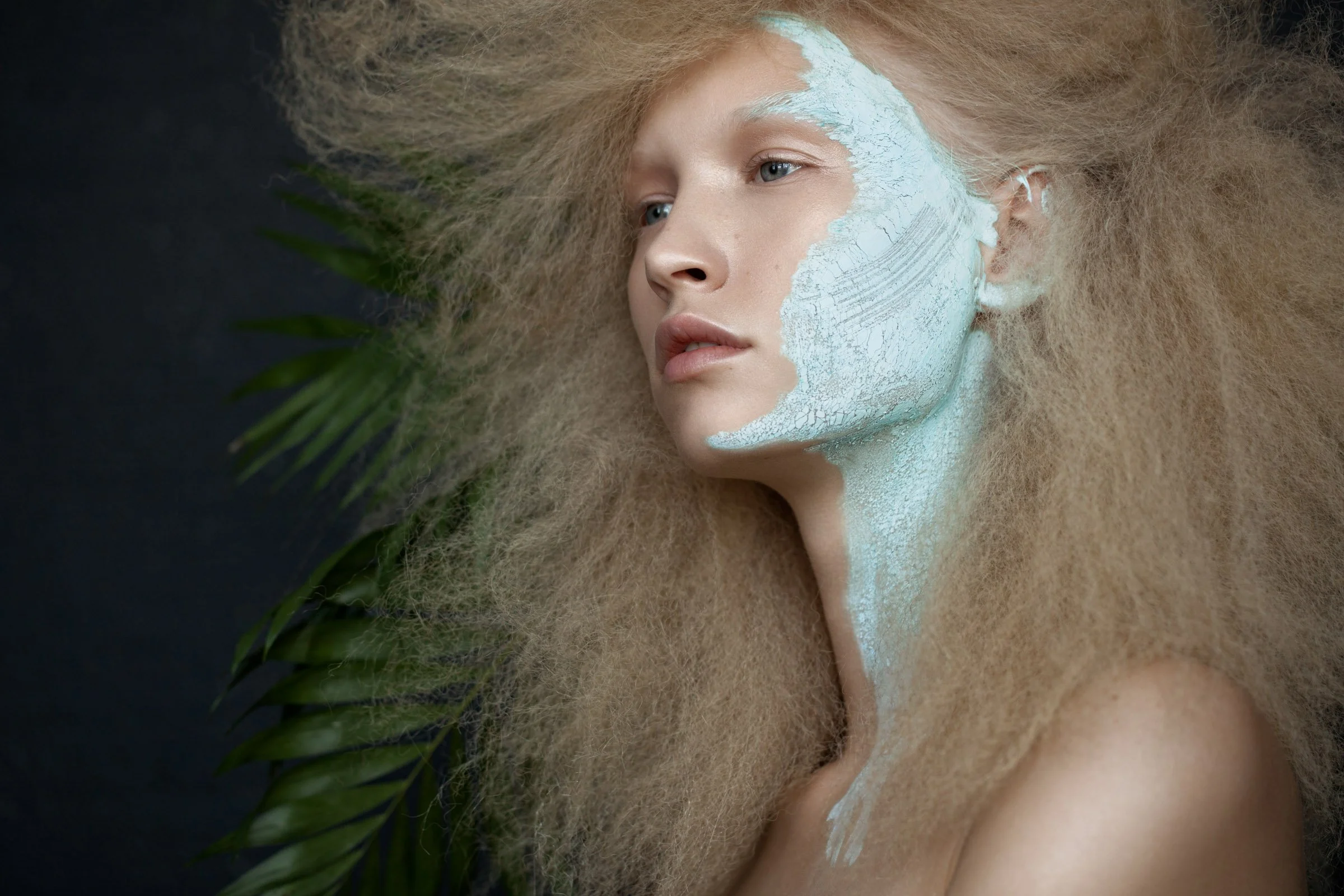 Organic Matter_01.jpg