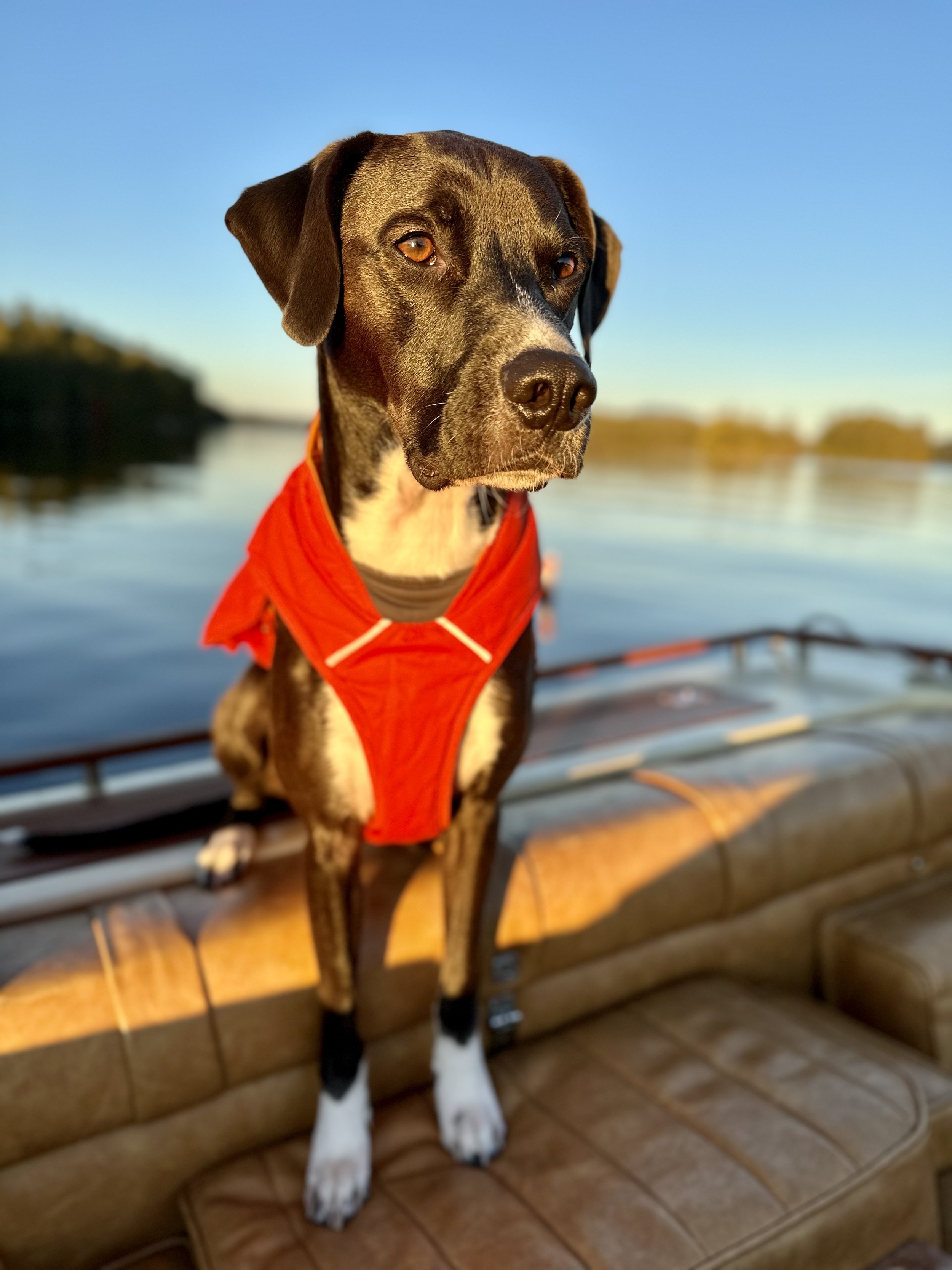 Nico on a boat on Lower Saranac Lake