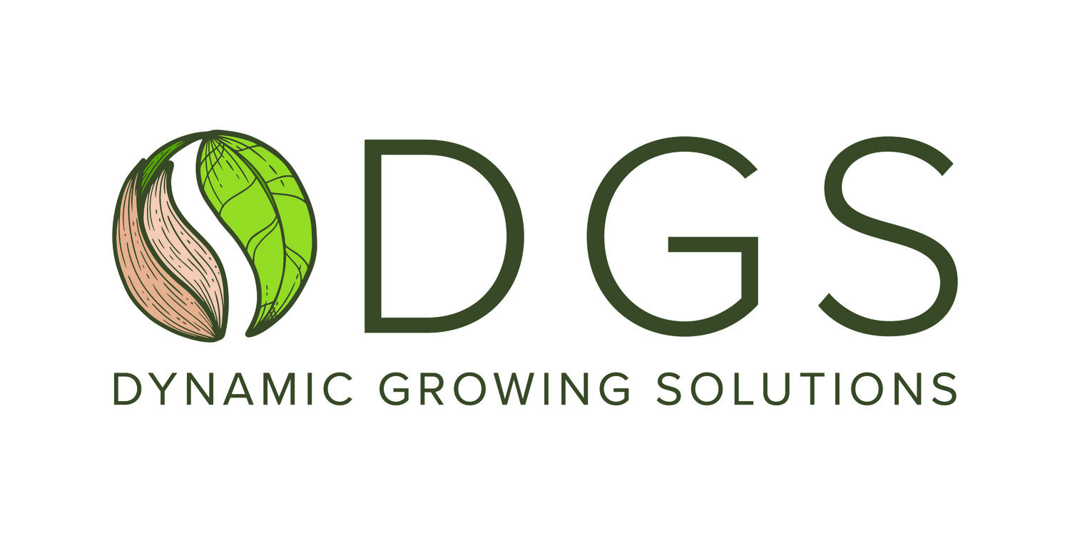 Dynamic Growing Solutions (Copy)