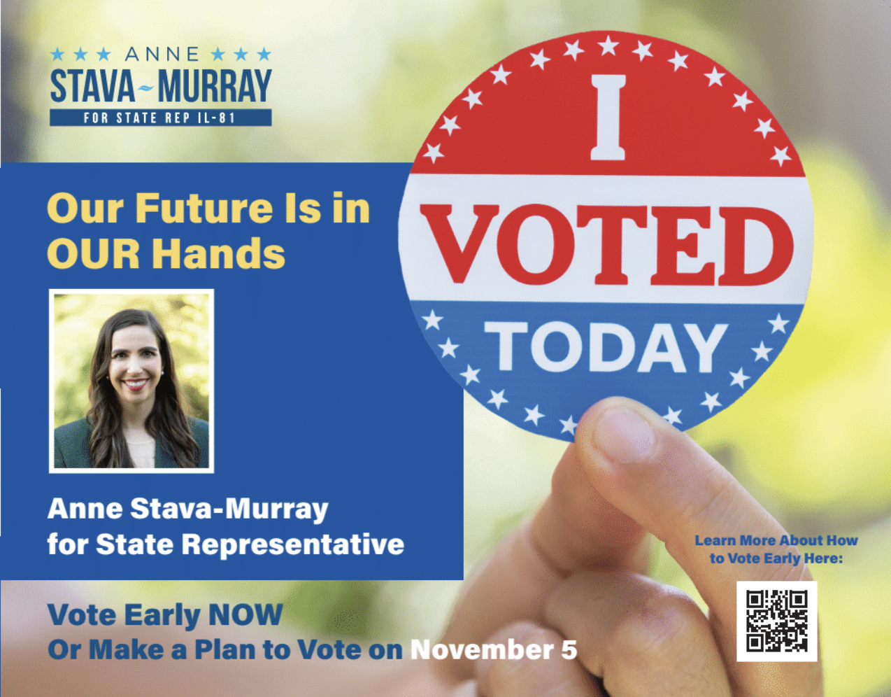 Anne Stava Murray for Illinois General Assembly
