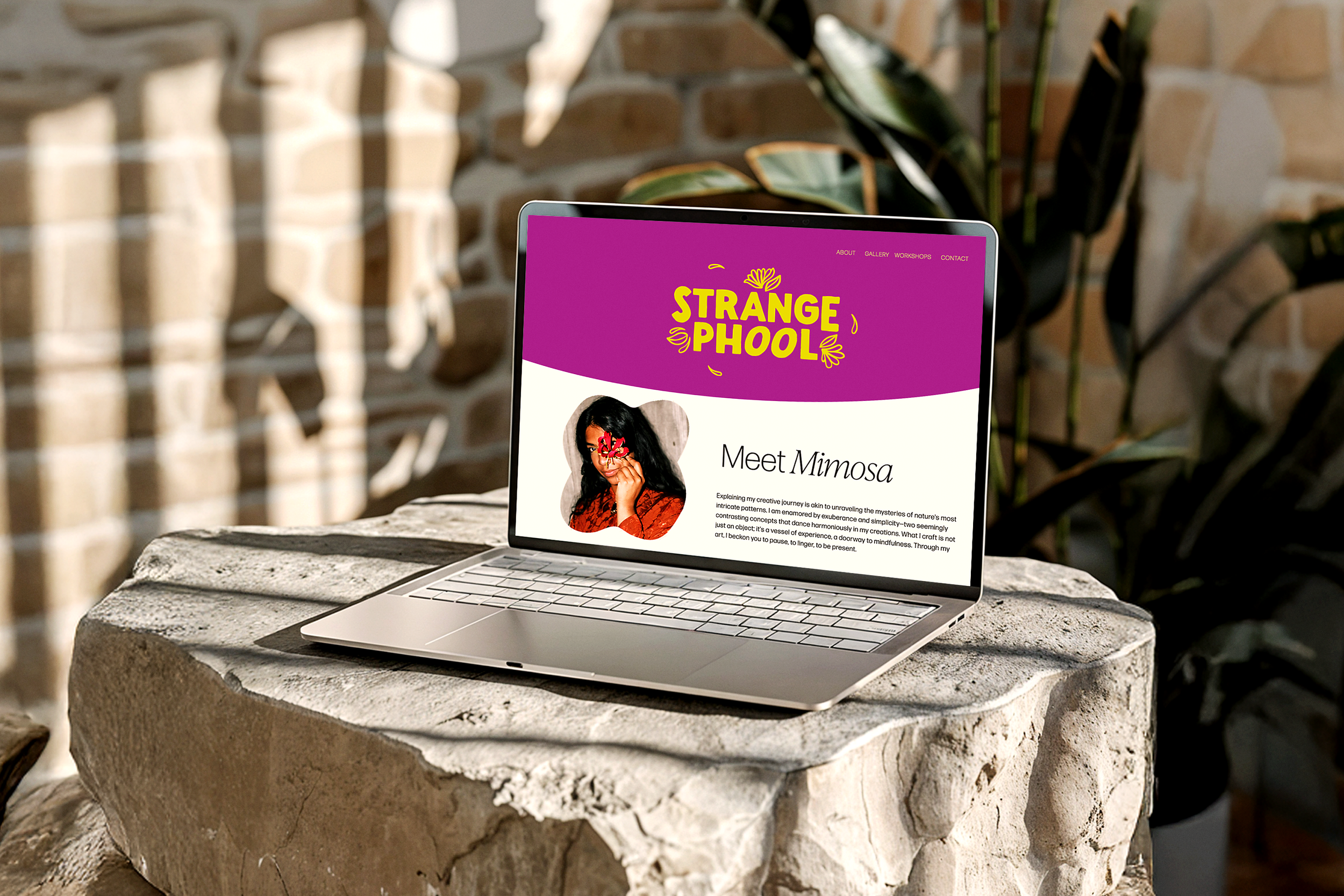 strangephool-website.png