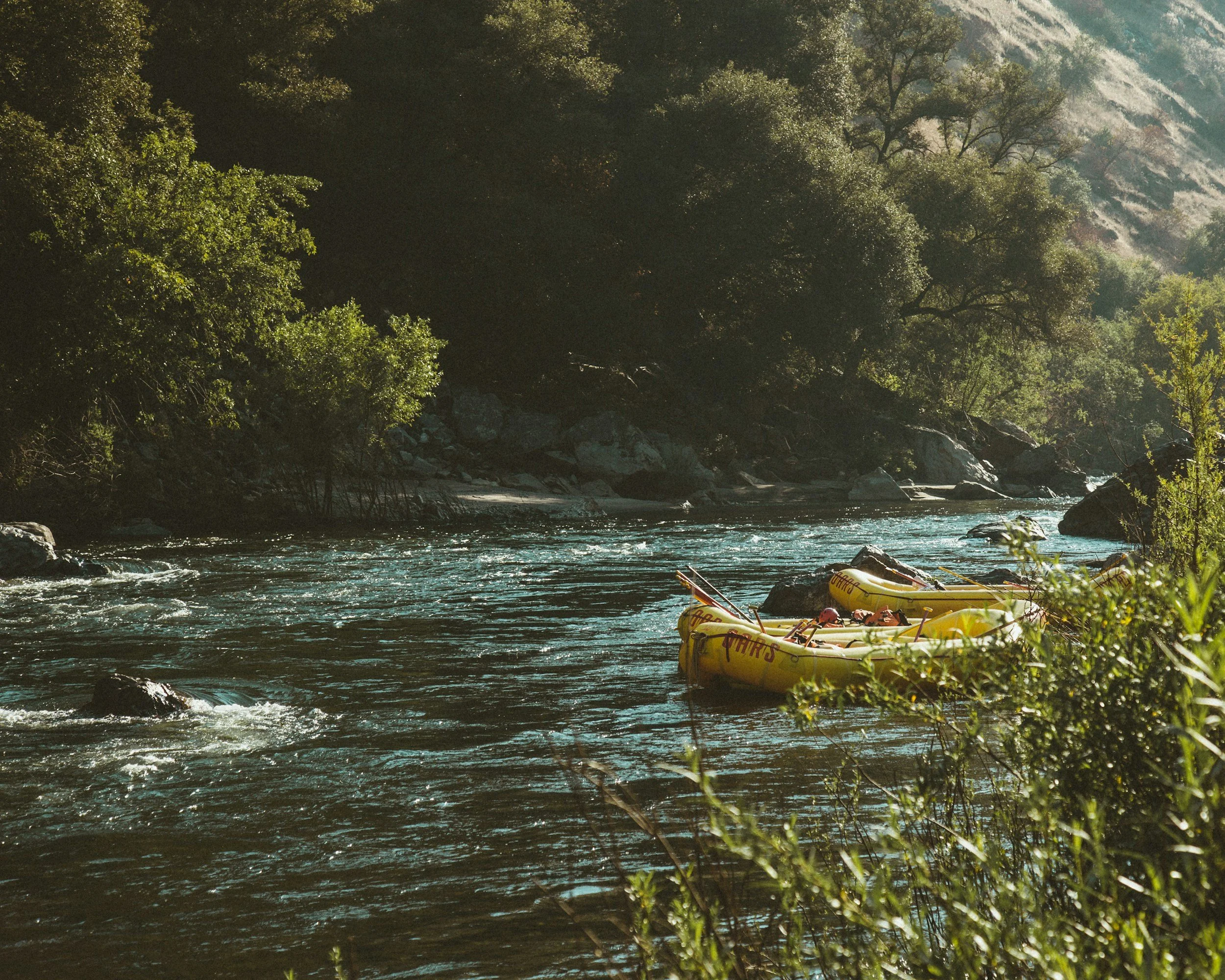 unsplash-image-imztpH1lSpY.jpg