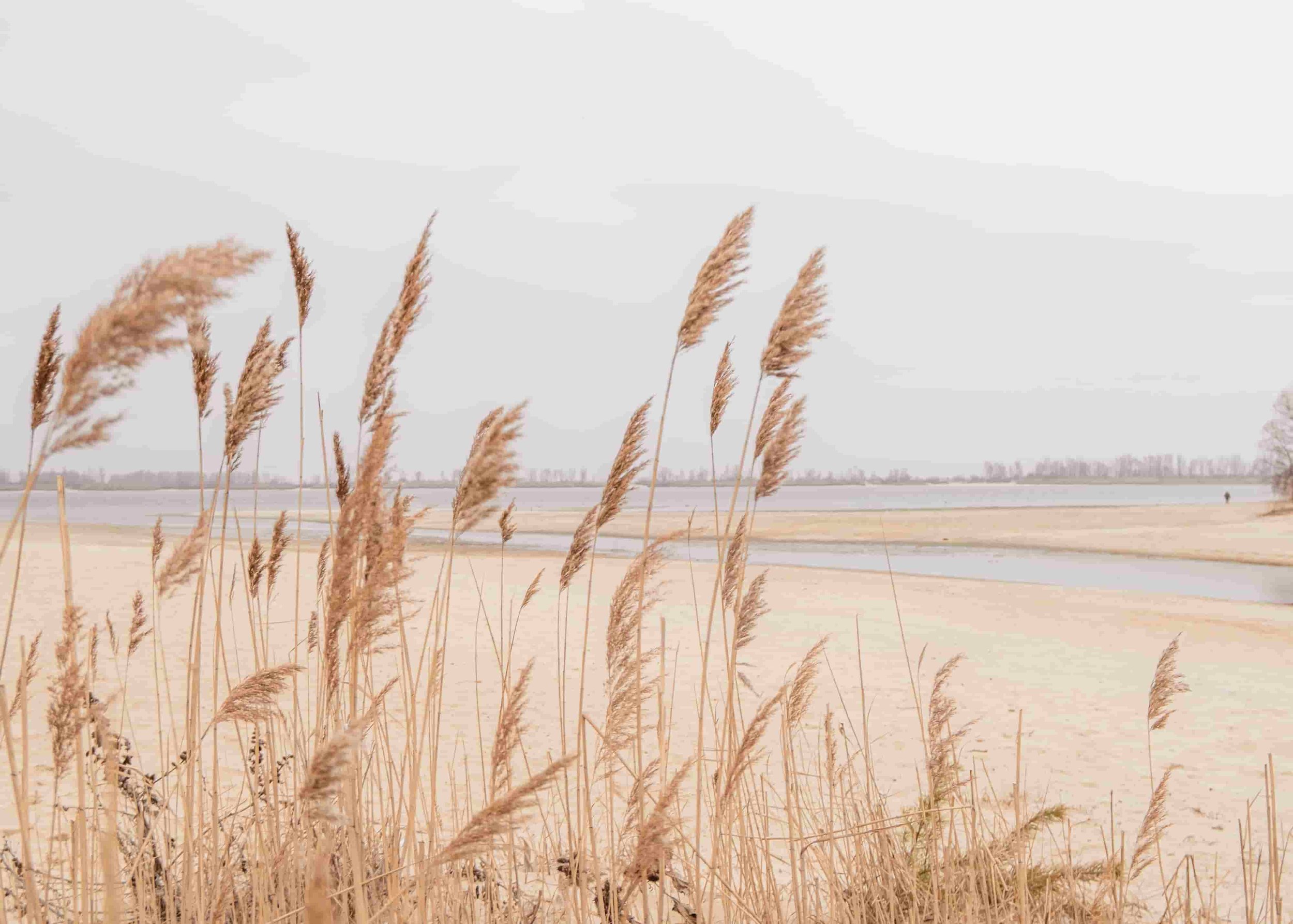 PTSD After Domestic Violence