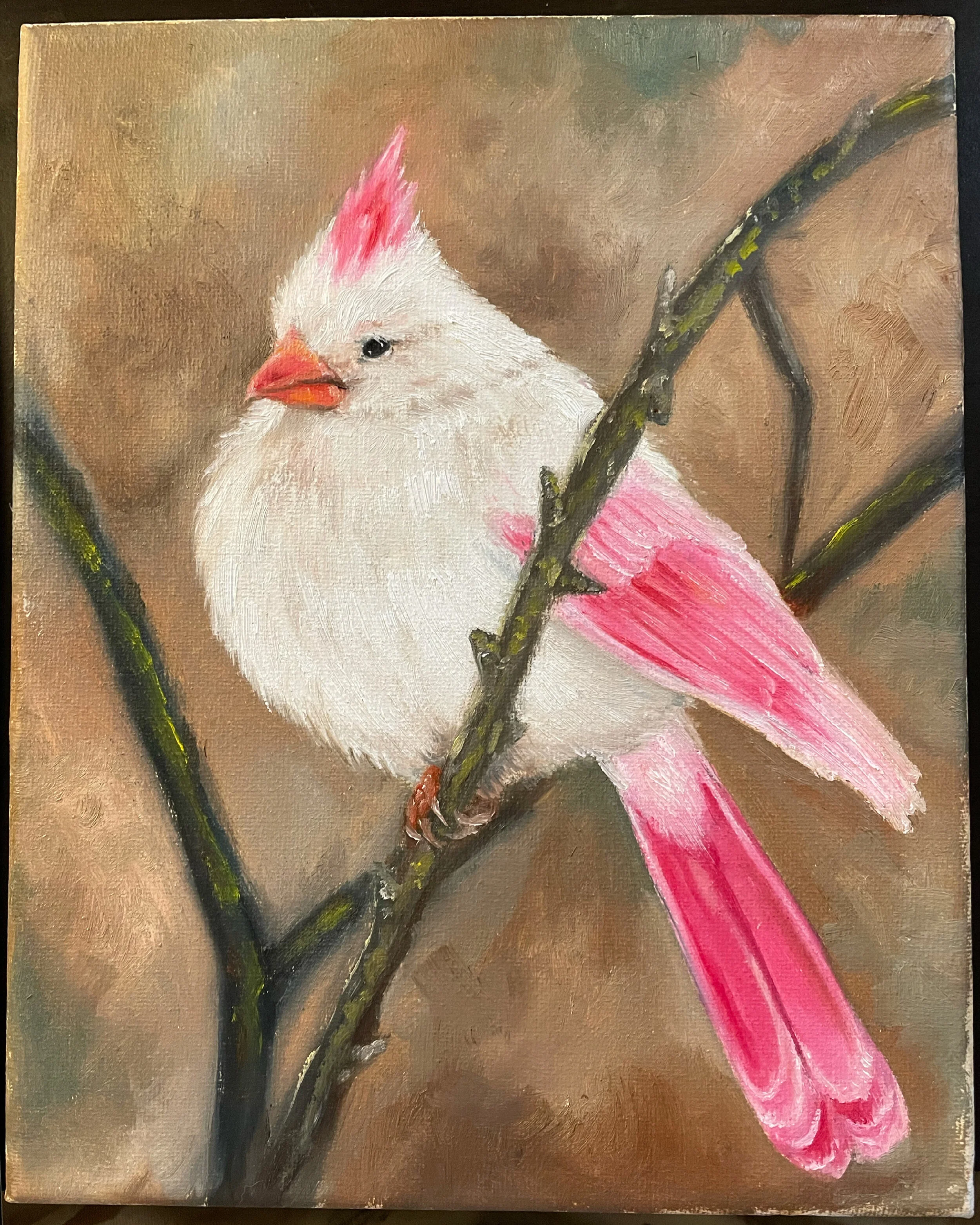 Pink Cardinal