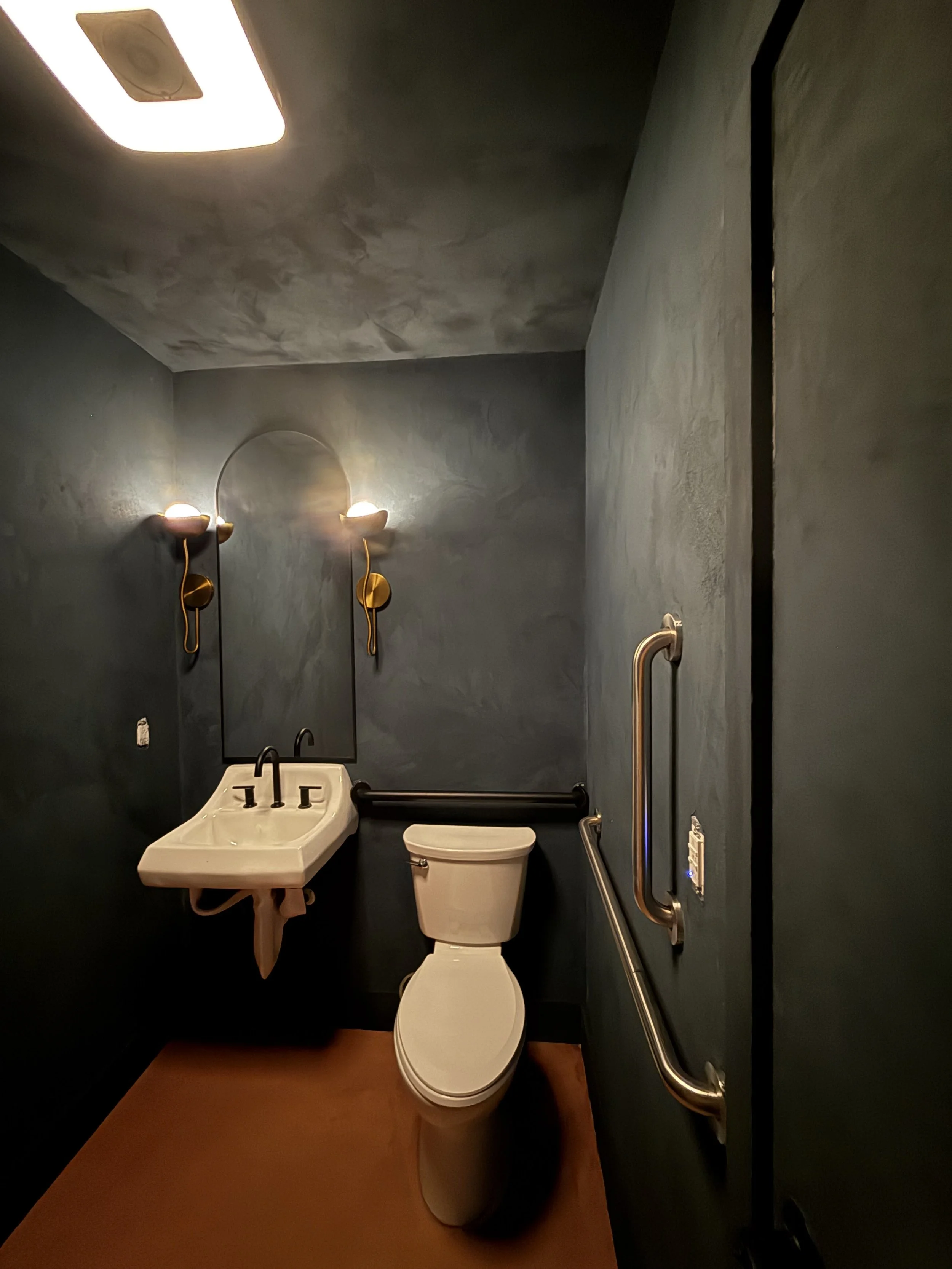 A small, dark-colored restroom with a white toilet and a white wall-mounted sink. There are two wall-mounted light fixtures on either side of a mirror above the sink, and a handrail on the right wall. The ceiling has a rectangular light fixture.