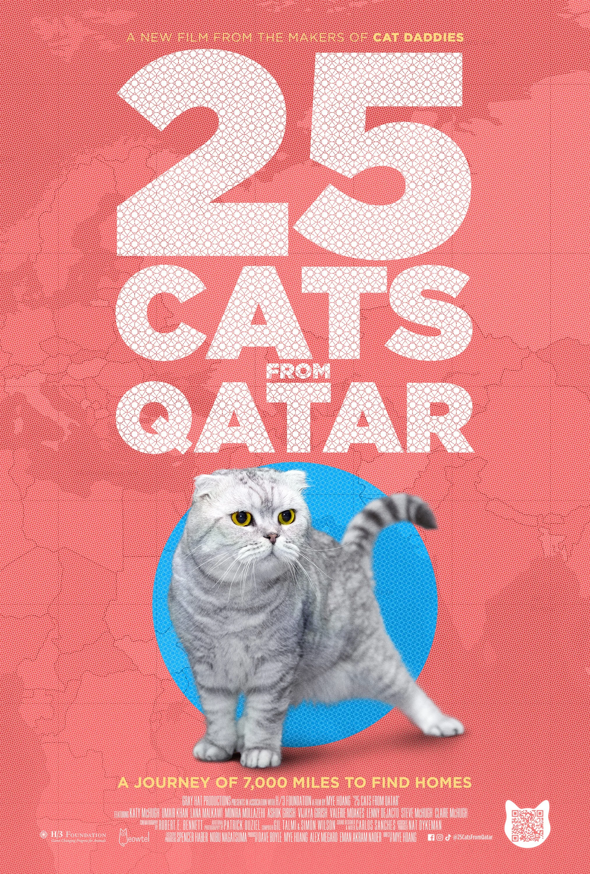 25CatsFromQatar_KeyArt_31_Medium.jpg