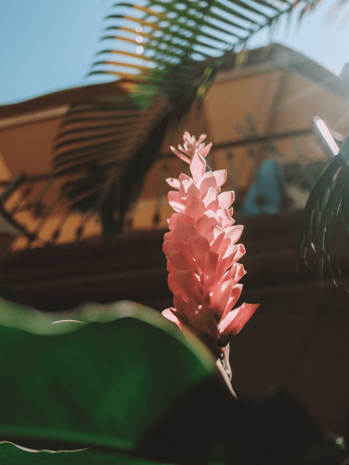 screenshot-2025-08-02-at-21_optimized.19.02.png