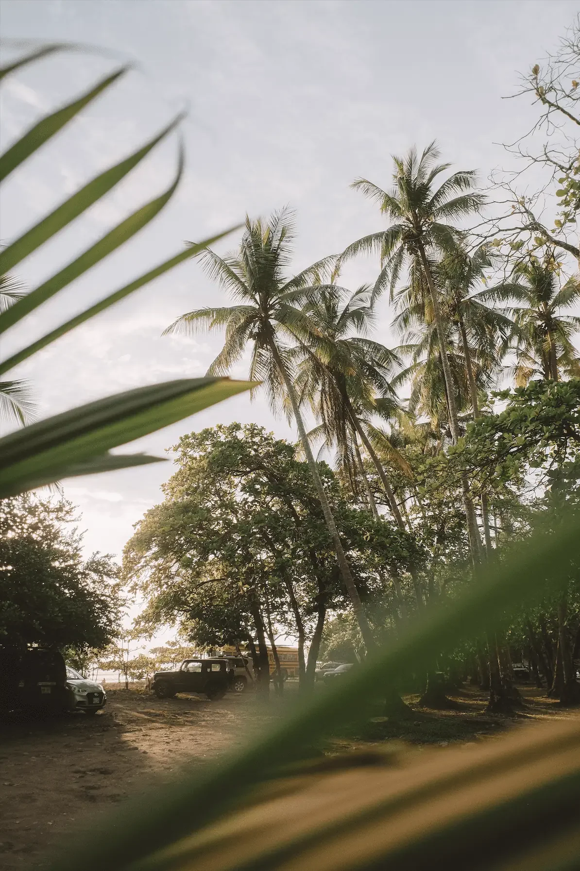 GIRL ON THE WAVE surf project