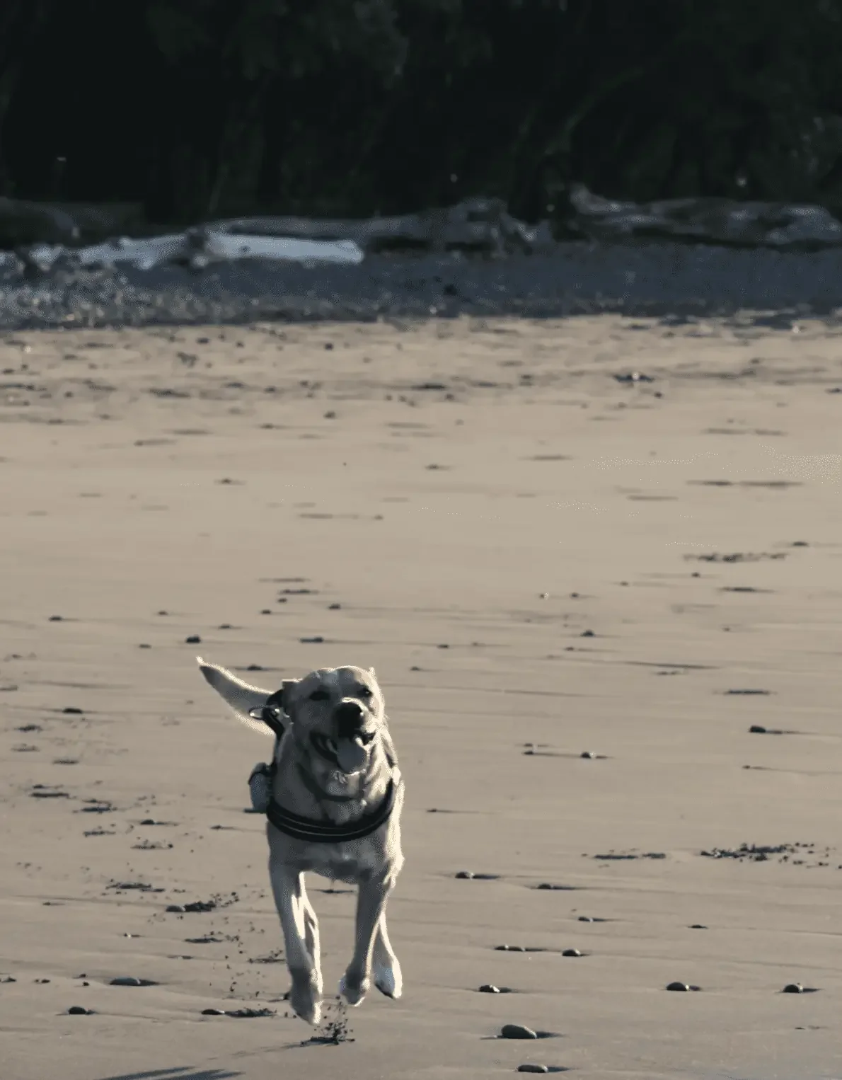 GIRL ON THE WAVE surf project