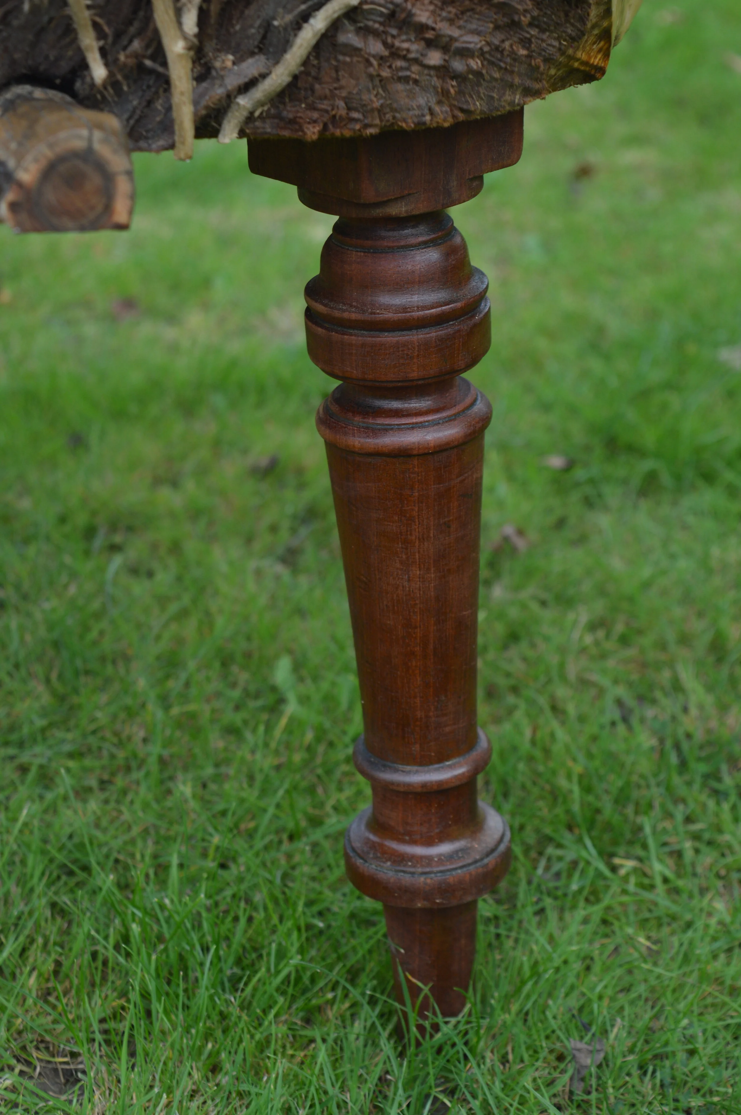 DSC_0004.JPG
