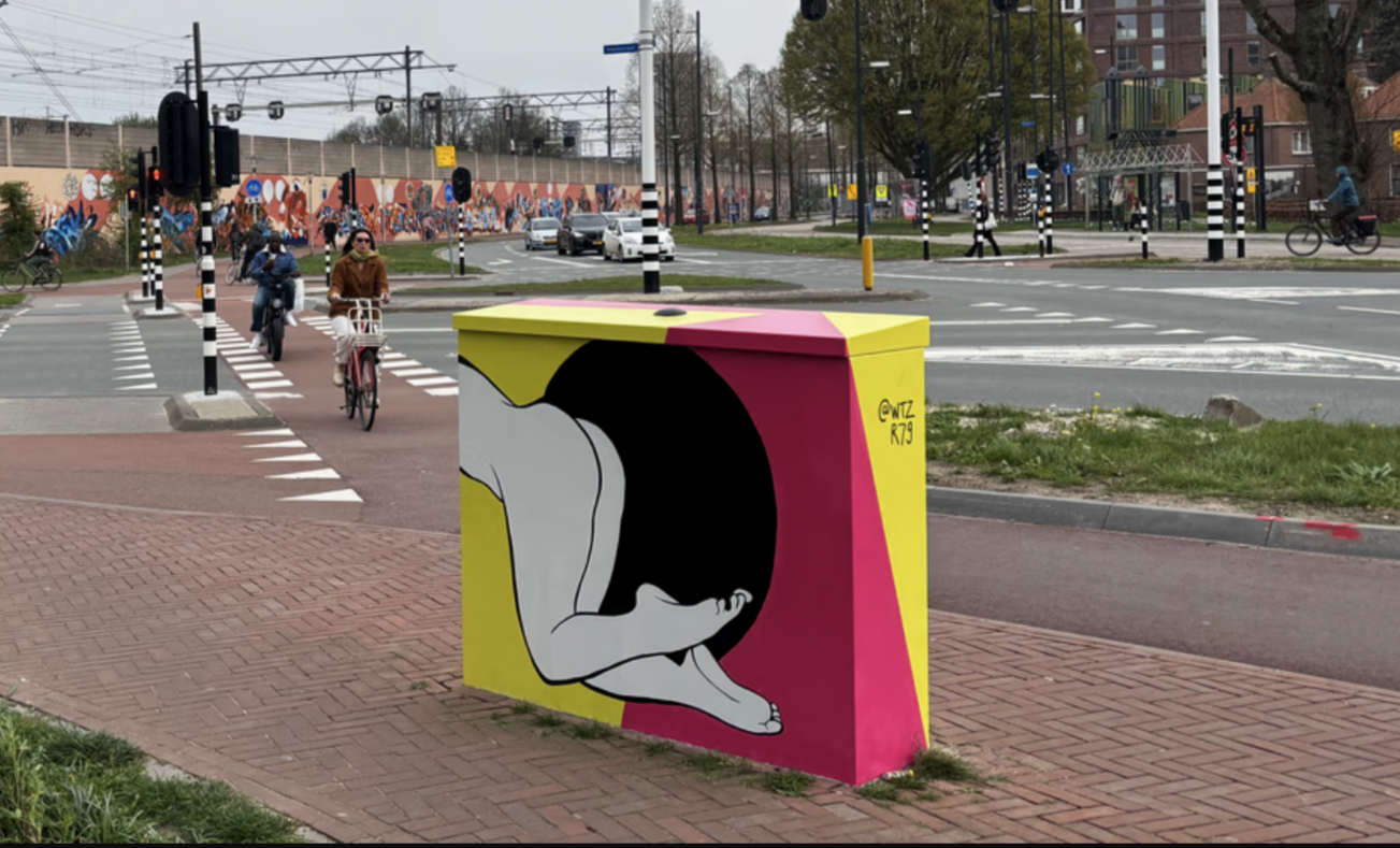 Grijze elektriciteitskastjes maken plaats voor kleurrijke kunst: 'Hier word ik vrolijk van'