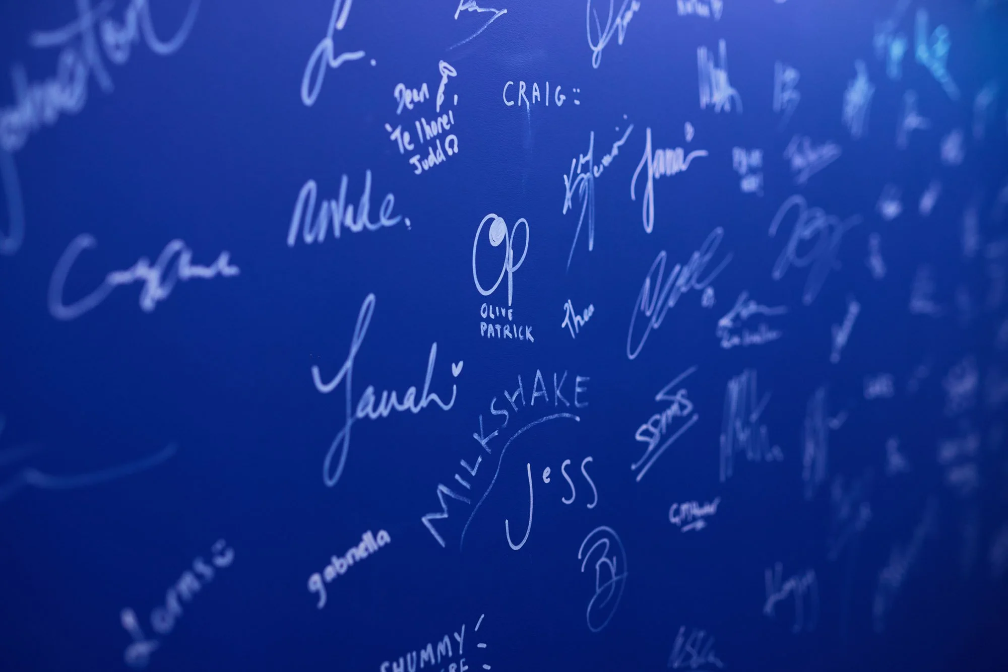 Wall of fam, Suburbia. 2026.