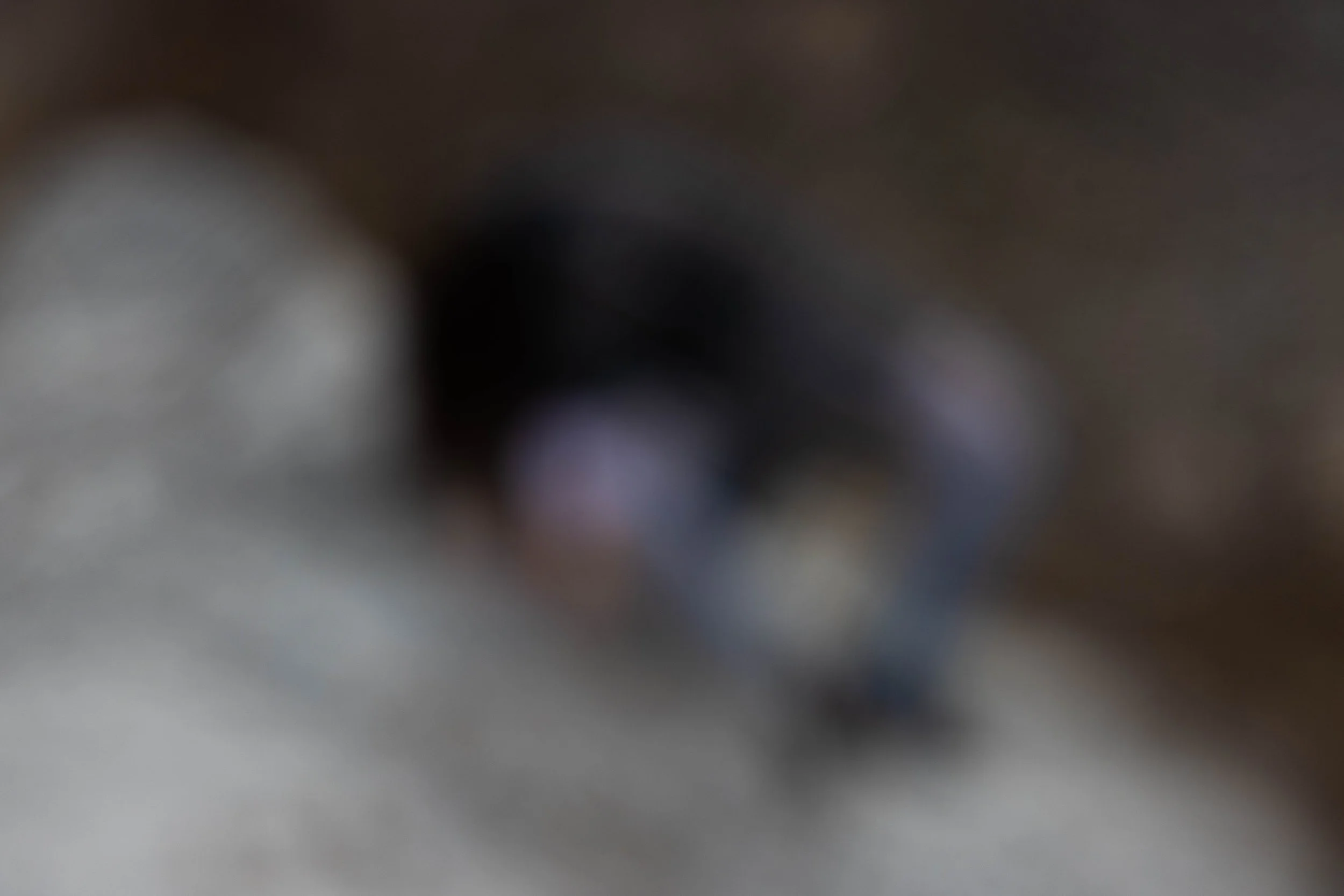 136A2476.jpg