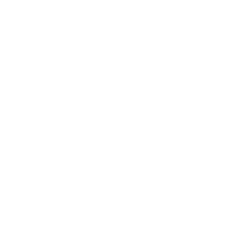 Smart Lock Icon