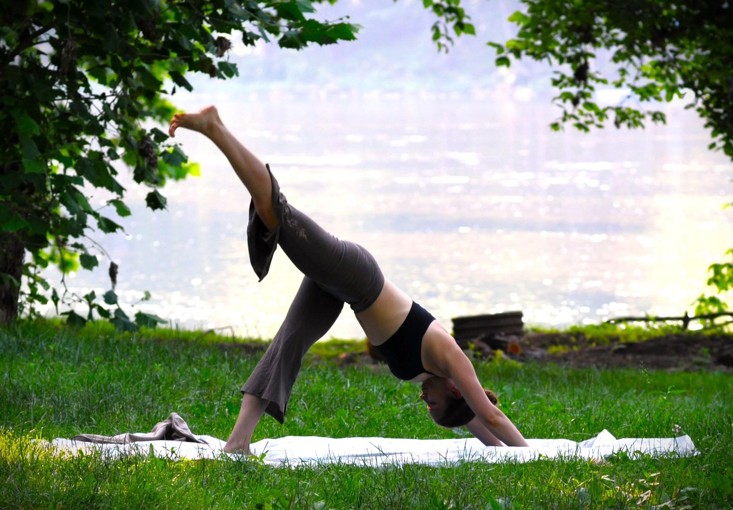 8 Week Session: Introduction to Vinyasa Flow with Linda di Desidero