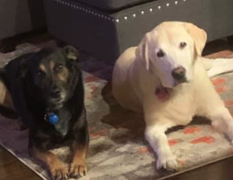 Memorial Pet Bead Testimonial 3.png