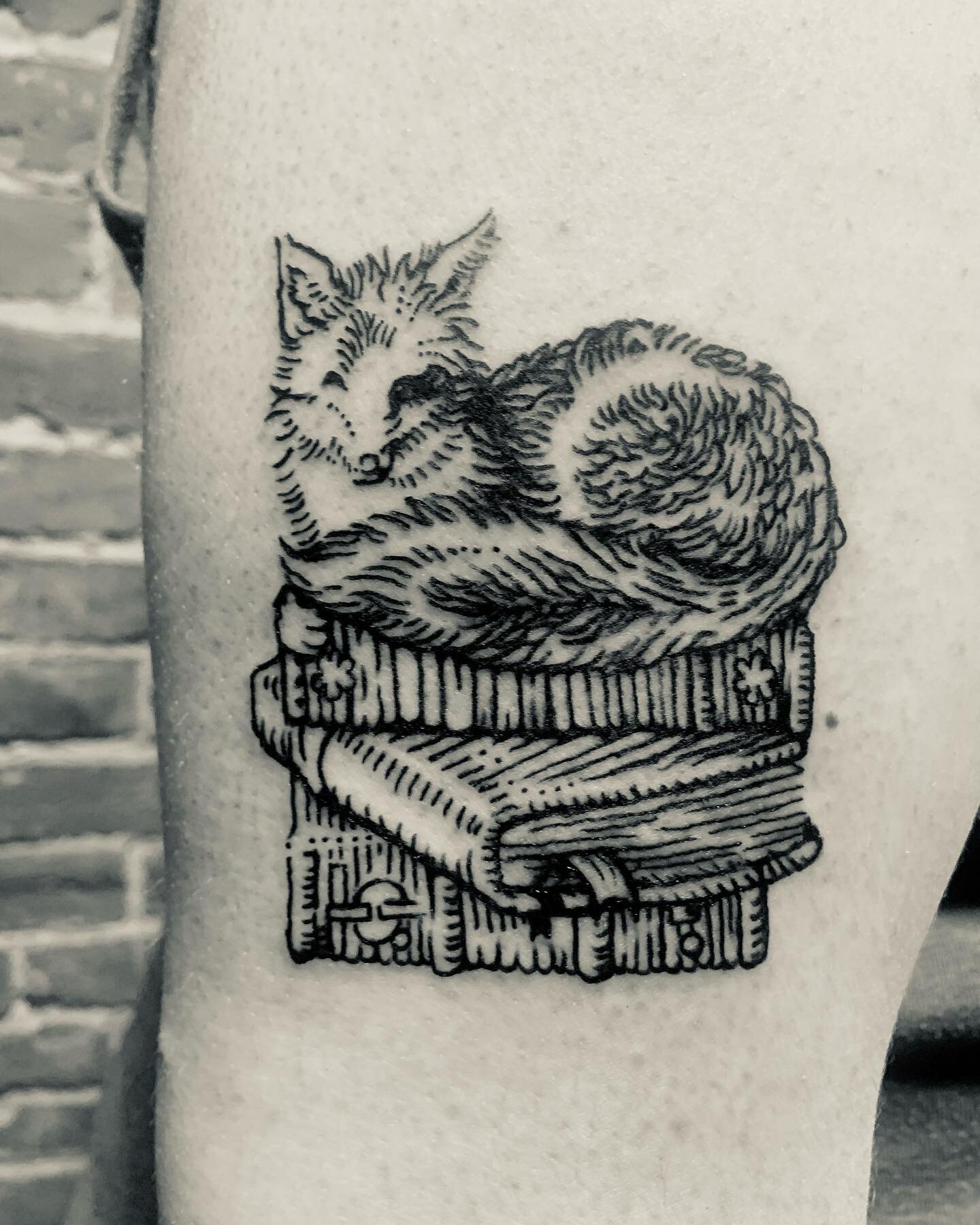 This cheeky fox roosting on her stack of books for one of my favourite information professionals ;)
.
Thanks @carizzler . You&rsquo;re a rad individual 😘
.

All of my flash designs and the majority of my commissions come from imagery found in and ad