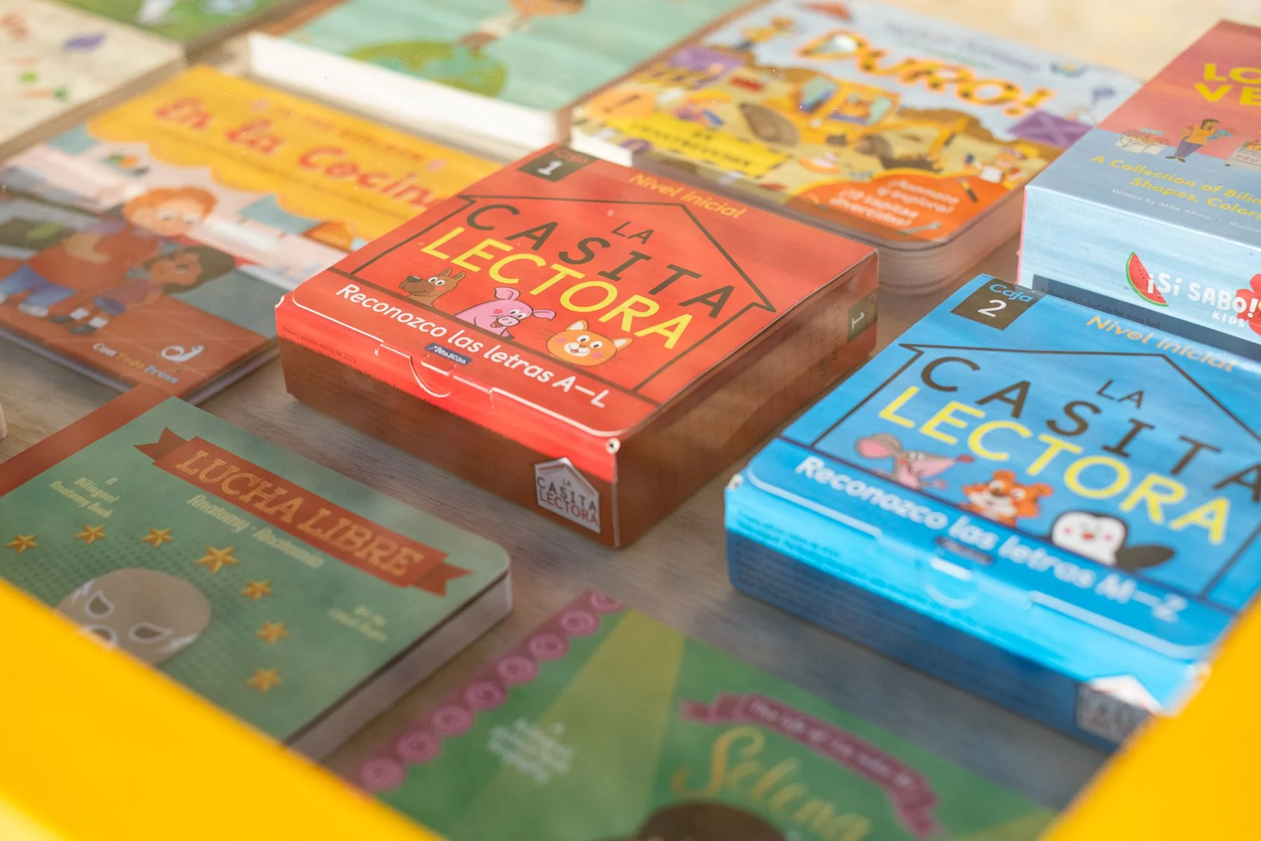 viva los libros-60.jpg