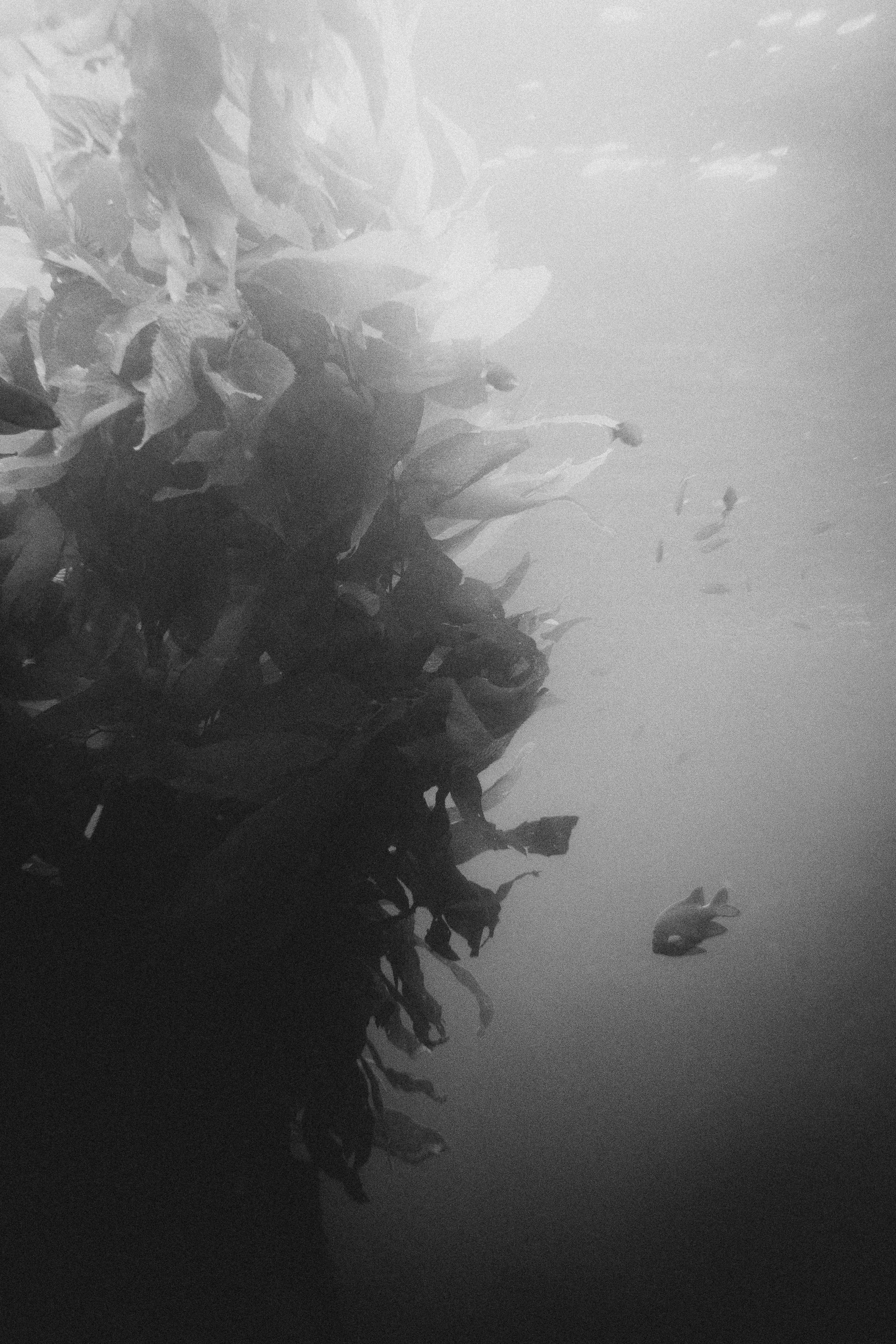 divepark-18.jpg