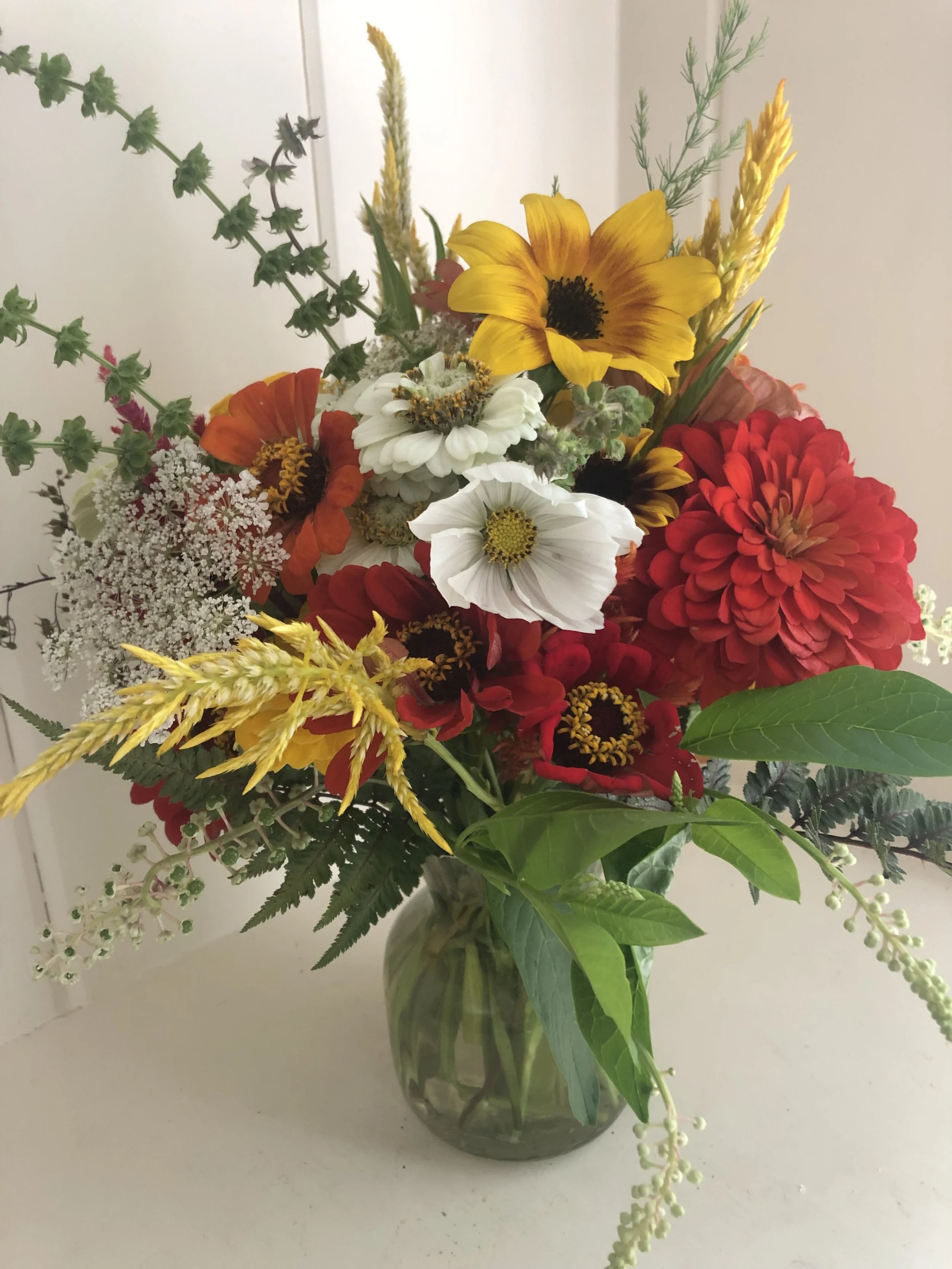 Caring for Cut Flowers — Walnut Hill Flower Farm