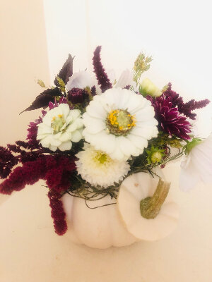 Small Pumpkin Arrangement