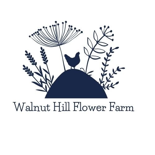 Walnut Hill Flower Farm     