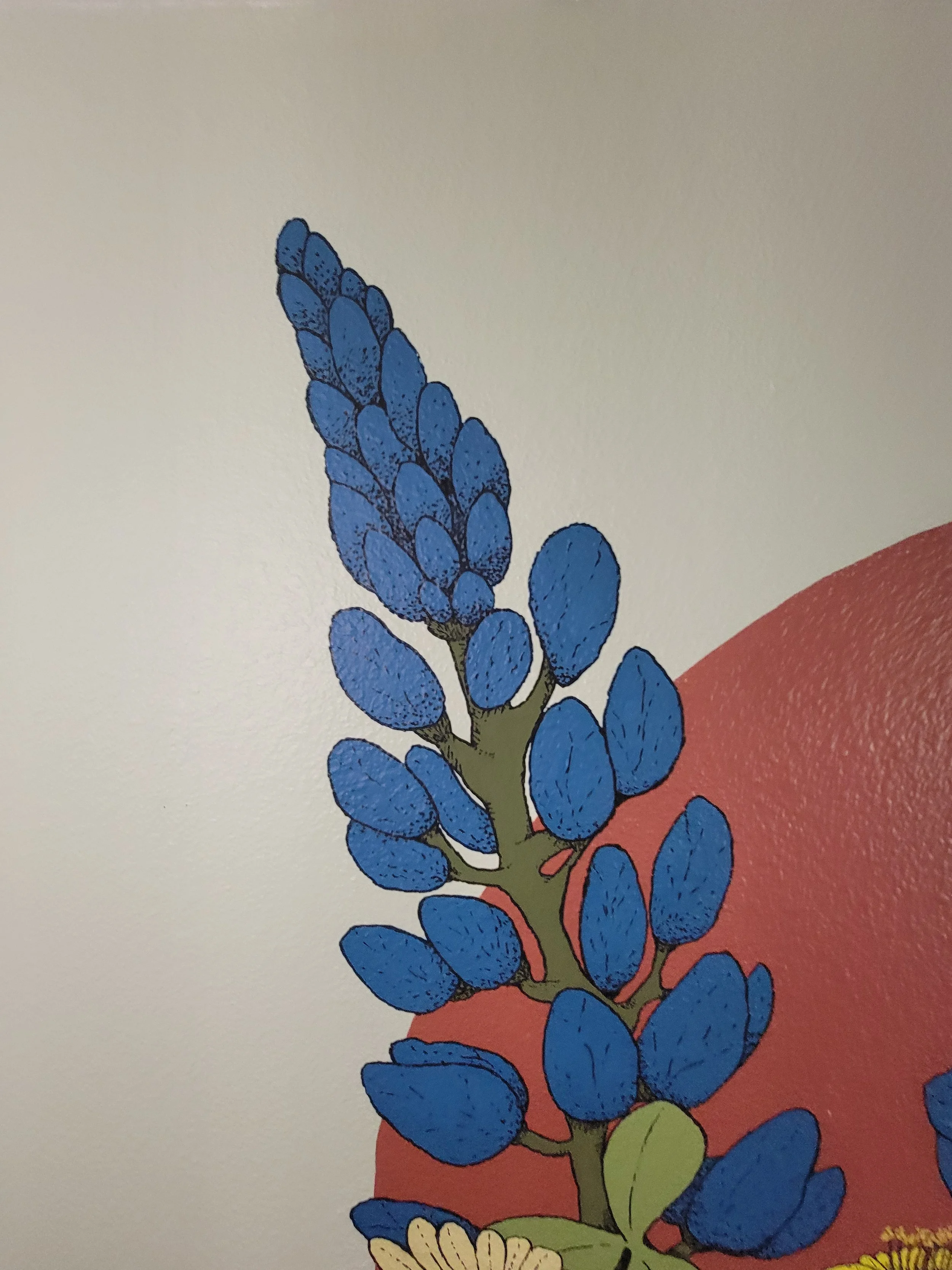 20260803_094935.jpg