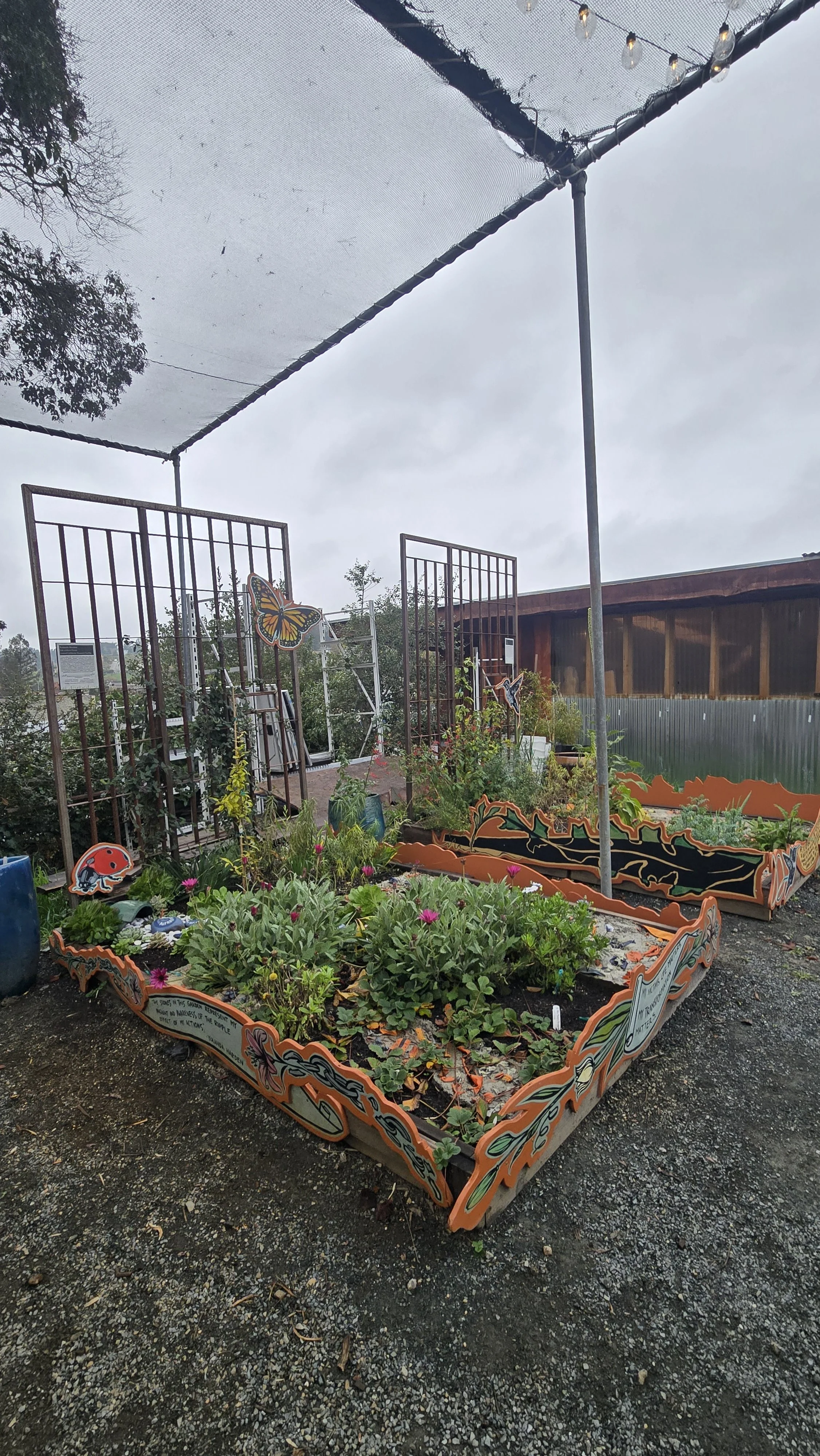 Yolanda Harden and Loi Voy's Solitary Gardens at the Planting Justice Farmstore in El Sobrante, CA.