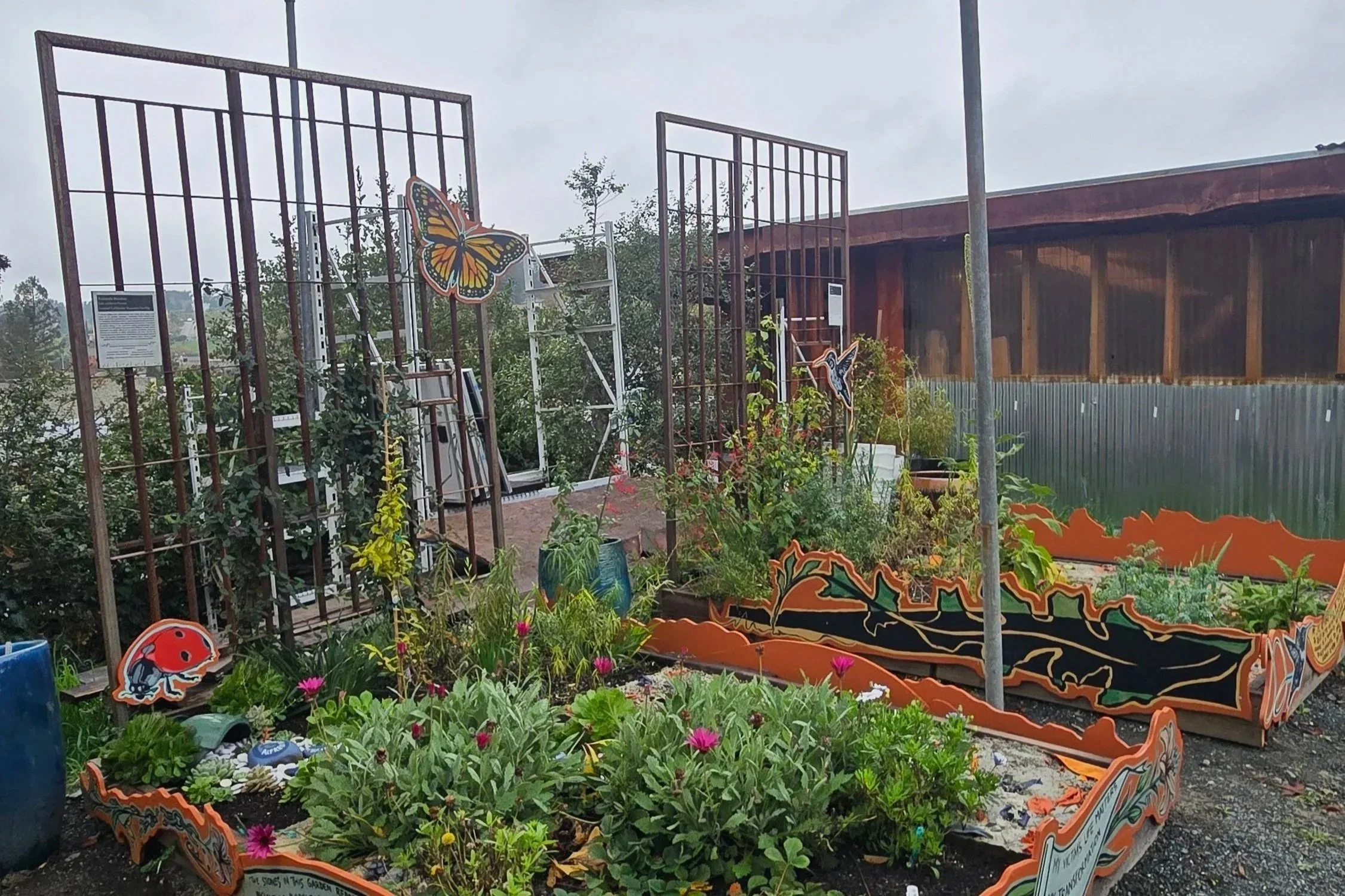 Solitary Gardens