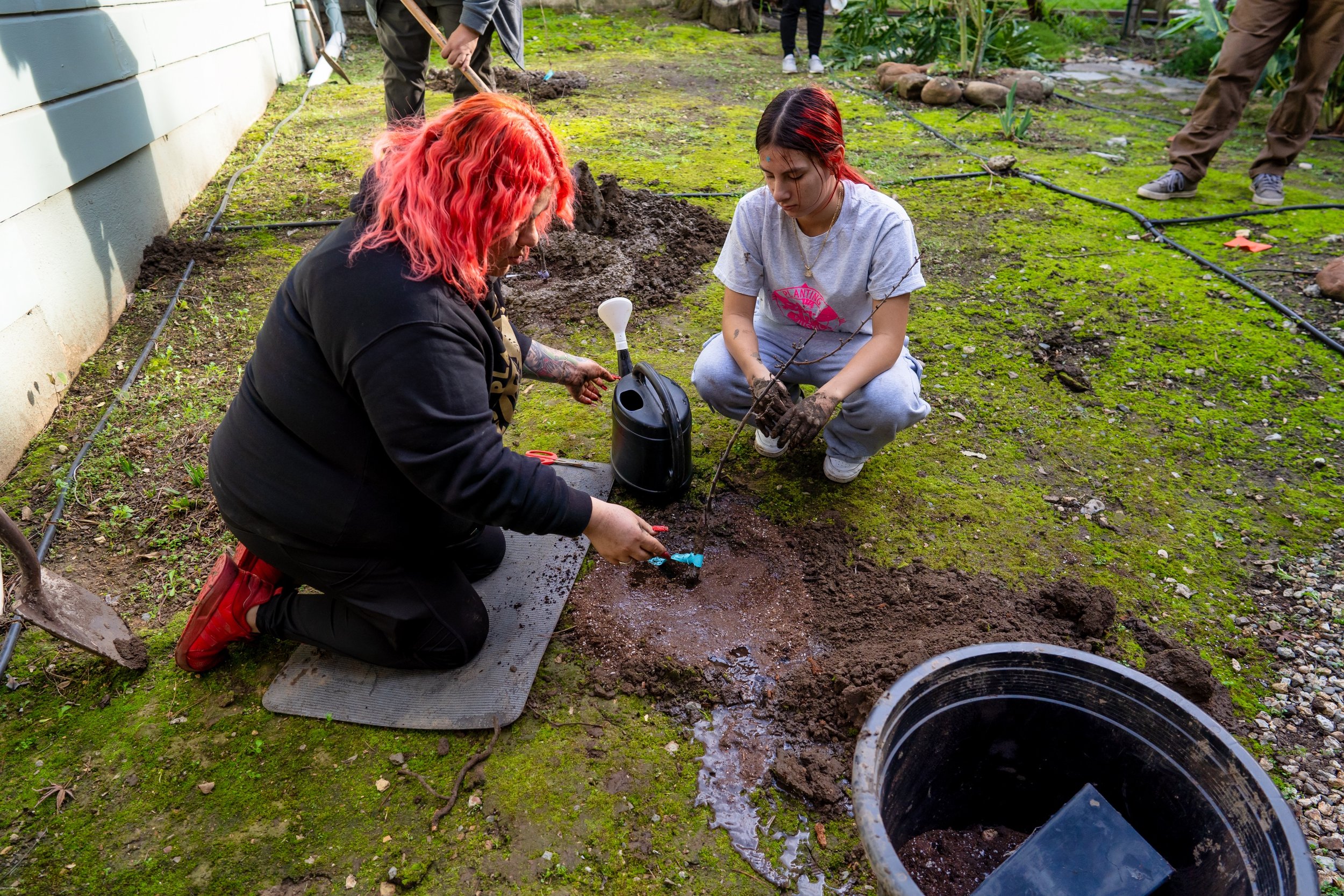 Planting Justice Free Tree 1000 Tree Jan 7 2025-08991 (1).jpeg