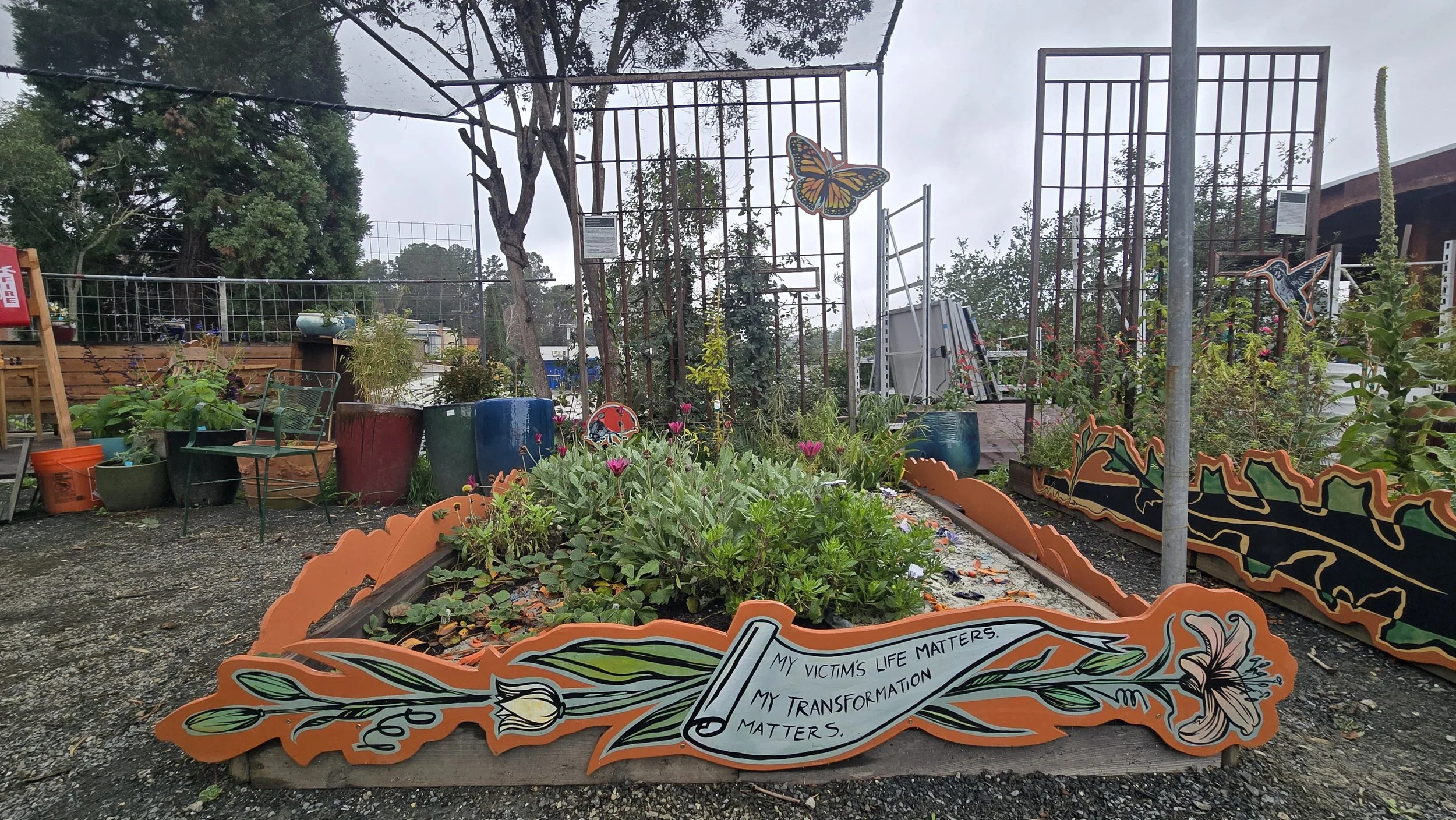 Yolanda Harden's Solitary Garden