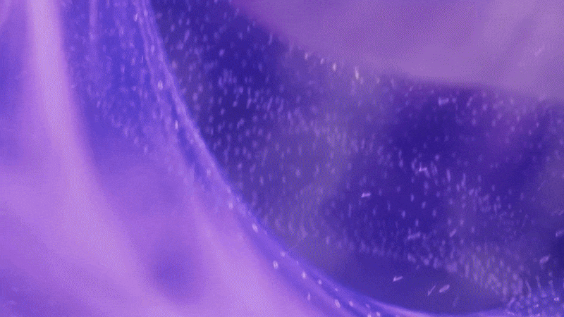 Leo Logo Animation.gif