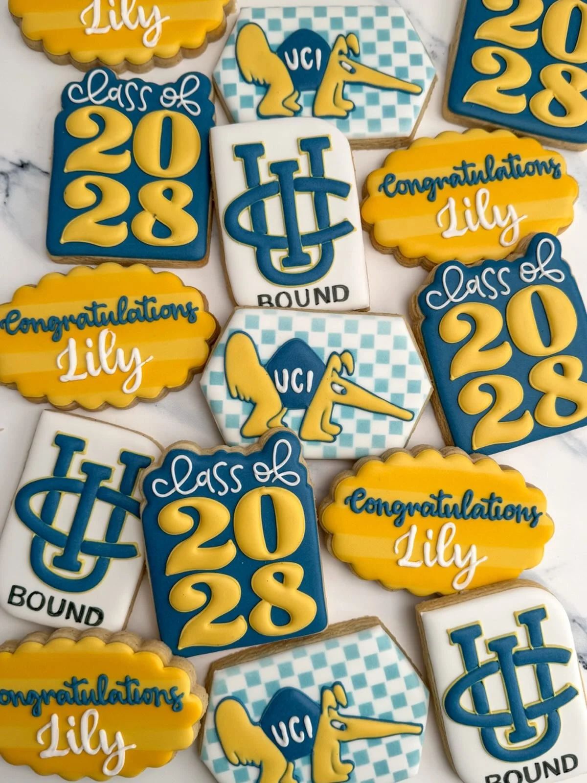 Congratulations class of 2026!

#tatestreats #classof2026🎓 #graduationcookies #orangecountycookies