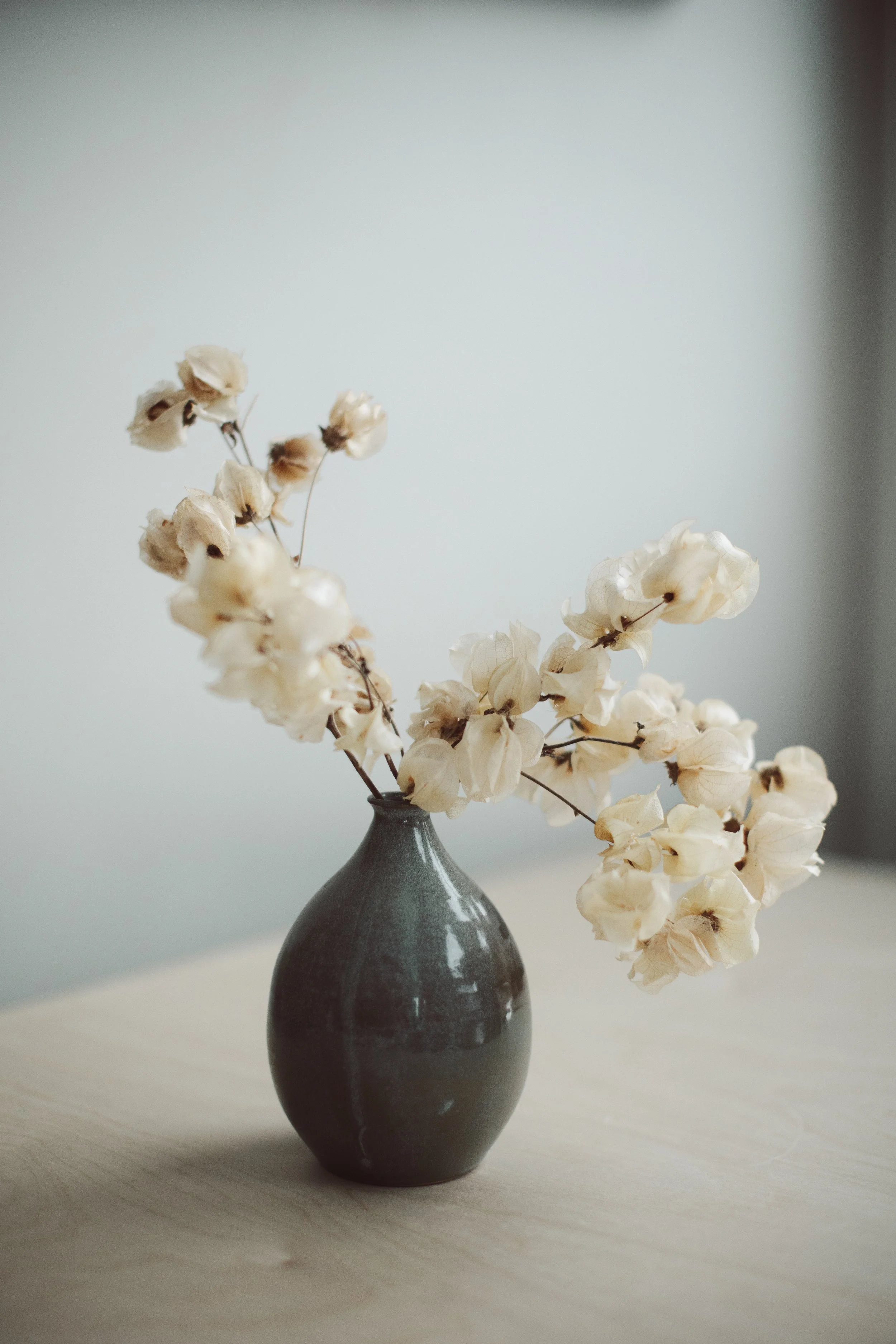 deMoStudios. Bess Proposal_251201_1923.JPG