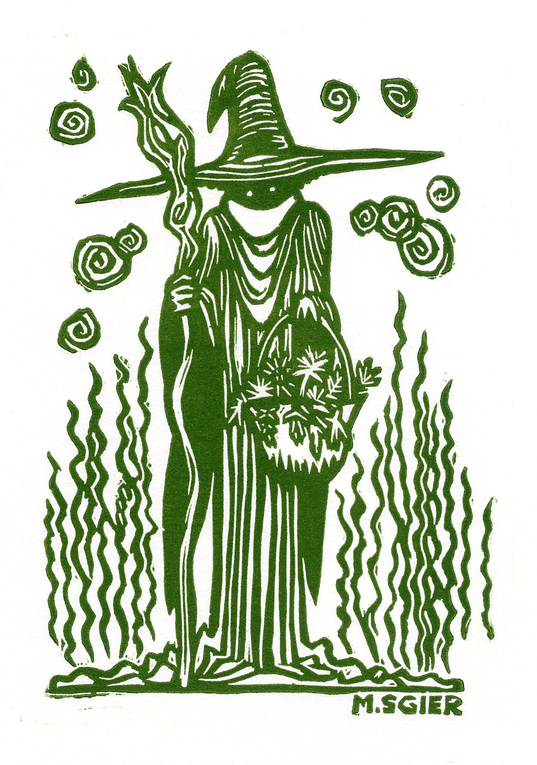 sgier_hedge_wizard_green - Mike Sgier.jpeg