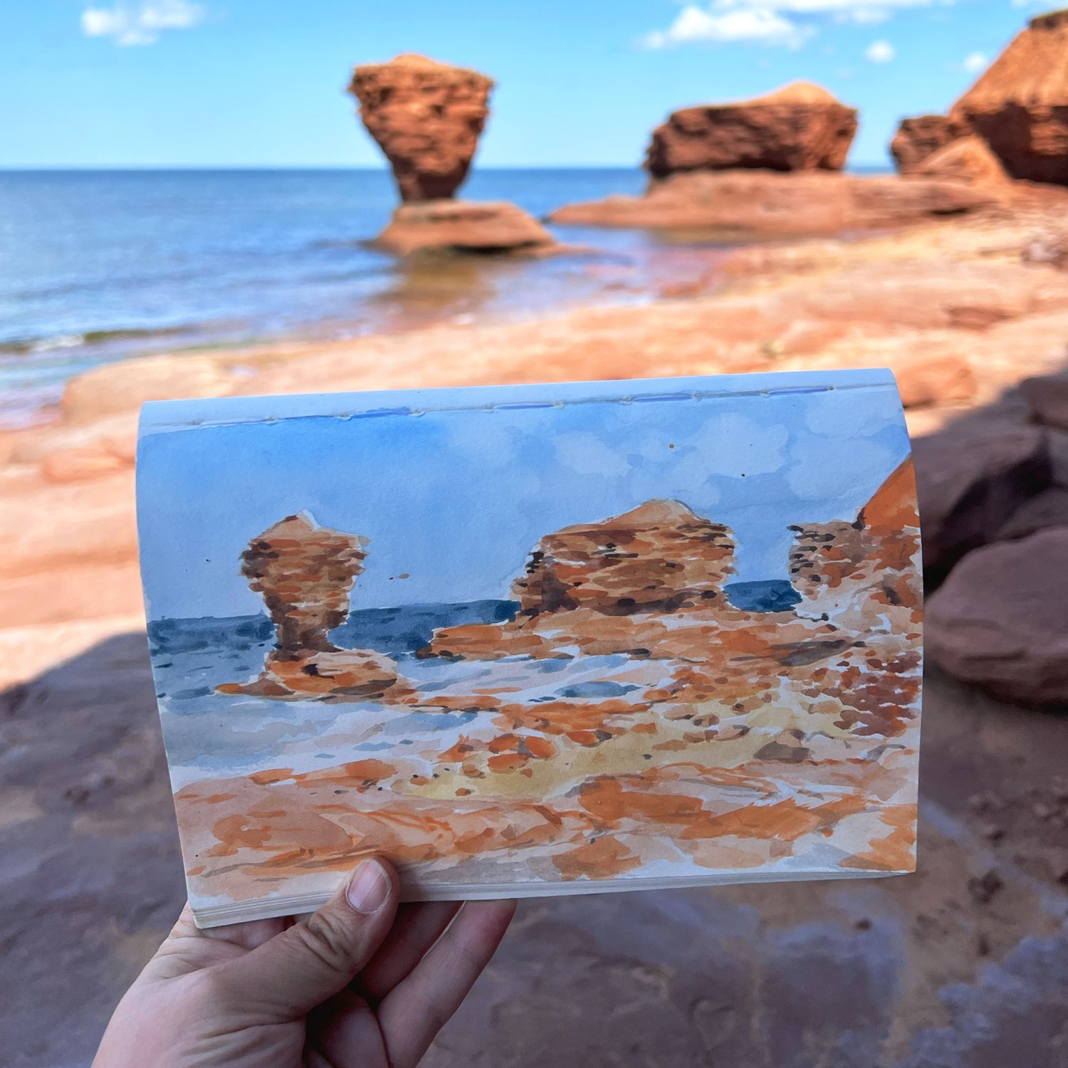 CM_PleinAir_3.jpg