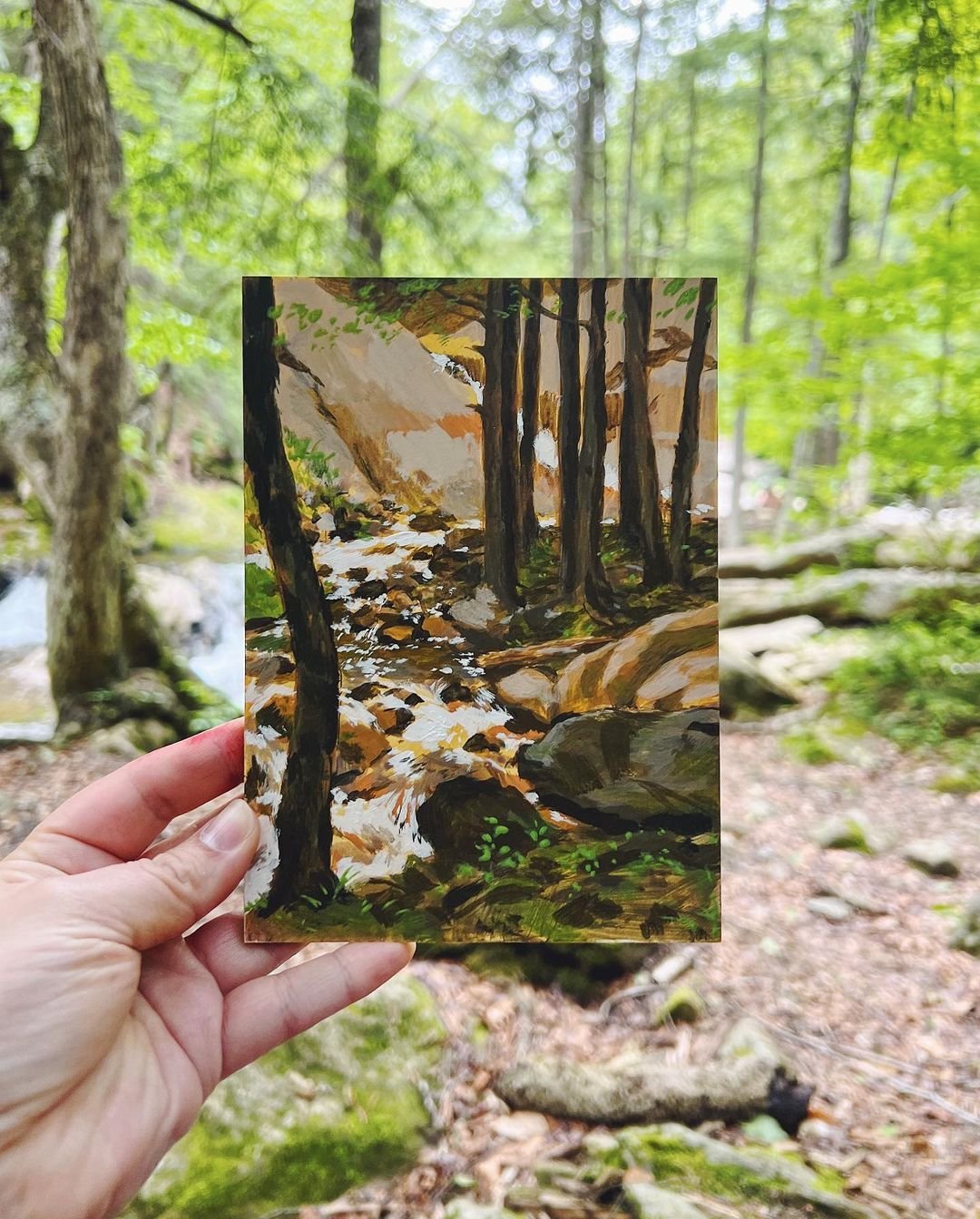 CM_PleinAir_2.jpg