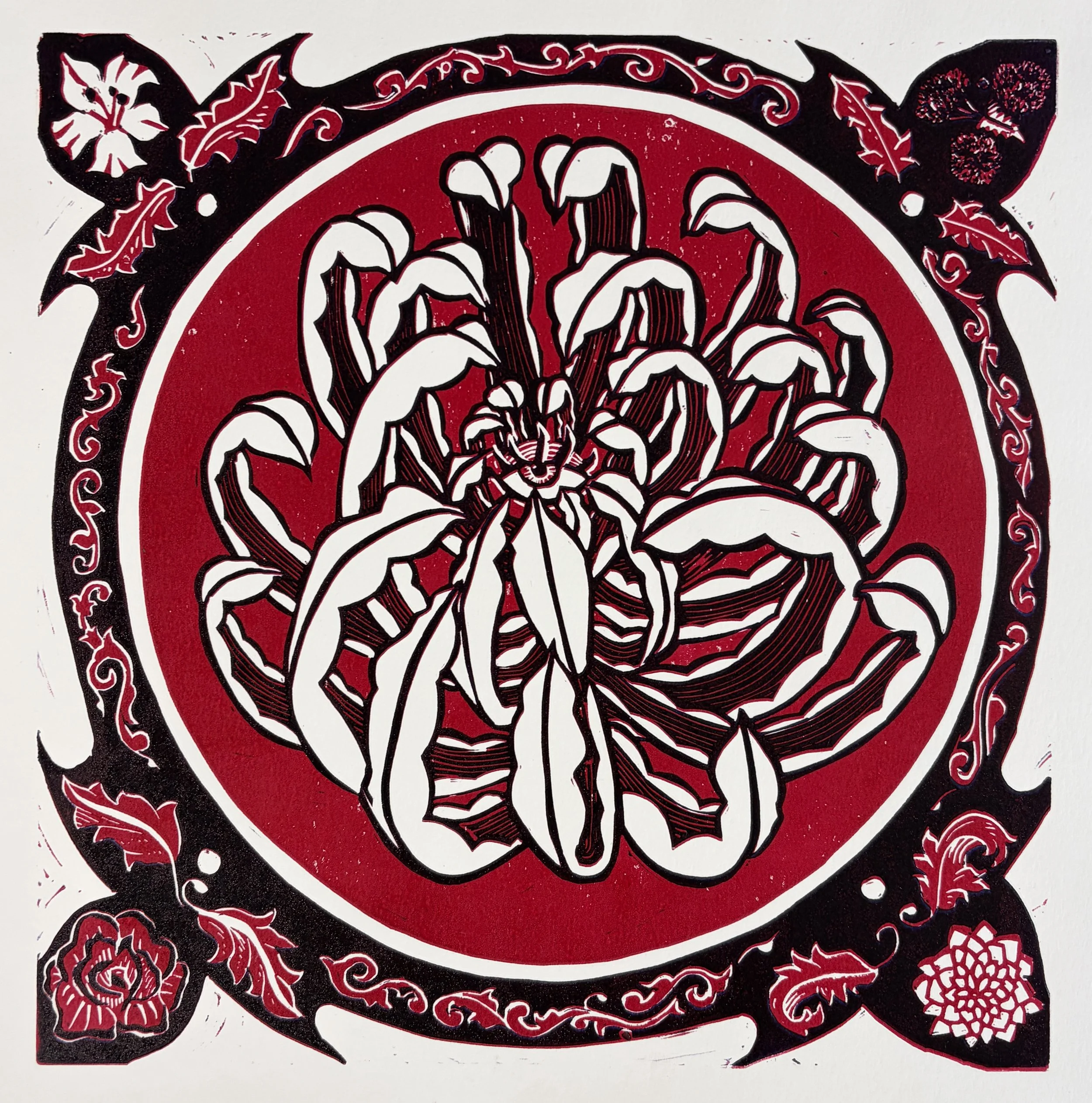 IMG_8076 - Lucy Henderson.jpeg